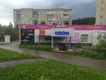 ЭлектроИван (ulitsa Gotvalda, 17), hardware store