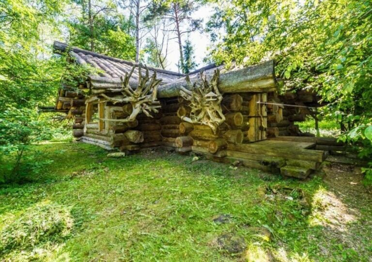 Фото Таёжные Бани