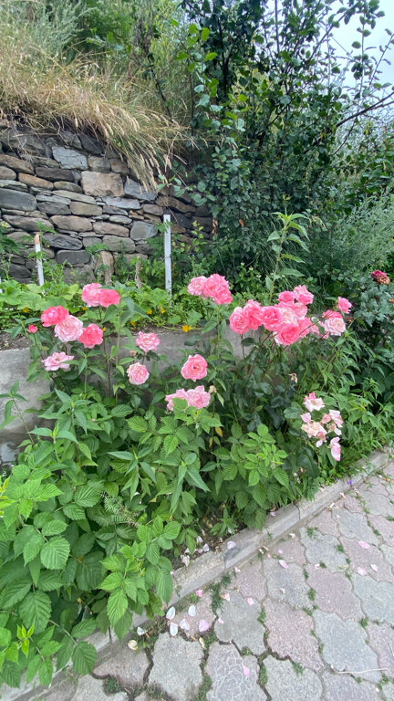 Фото Гази-кумух