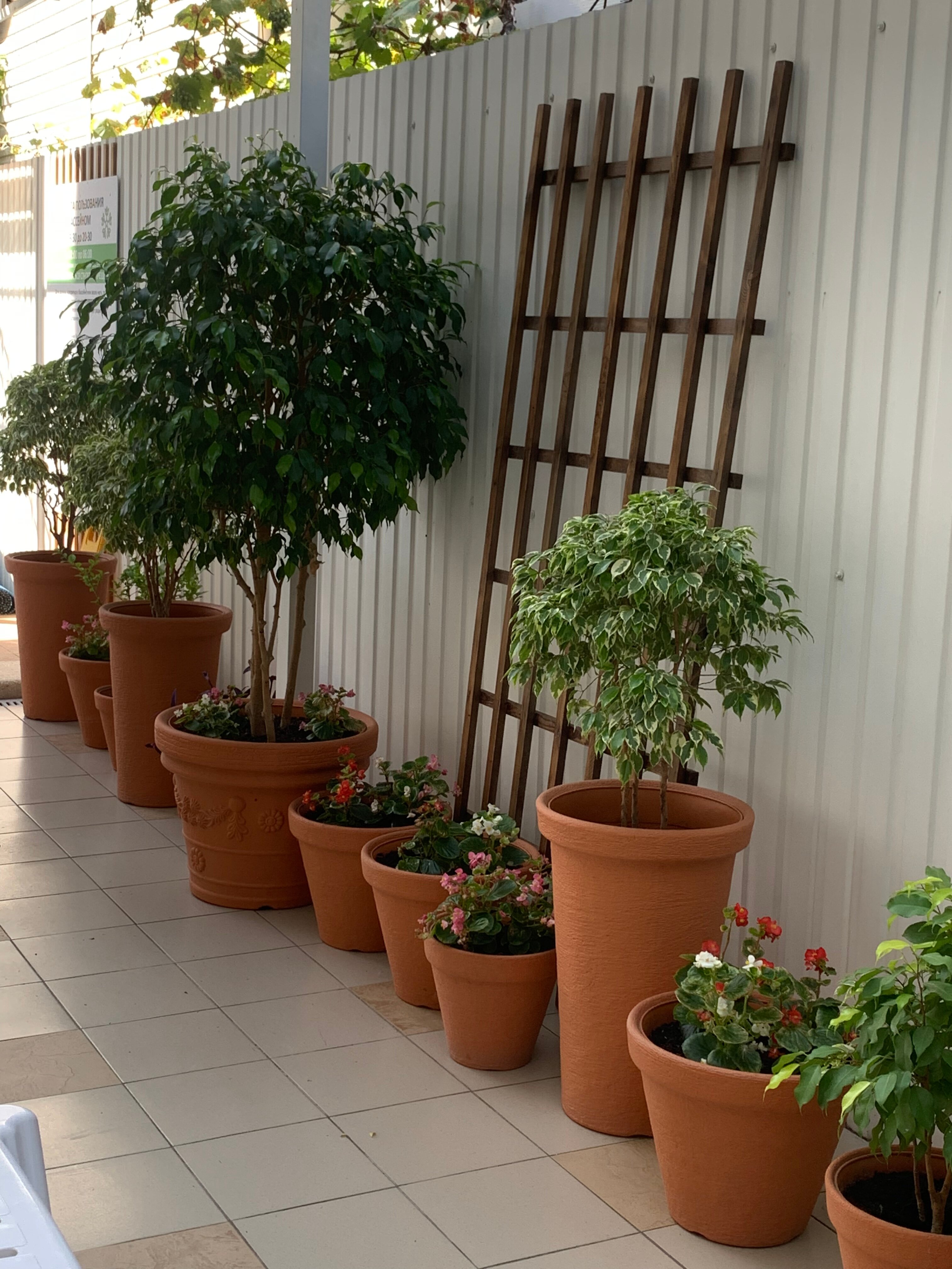 Фото Гармония