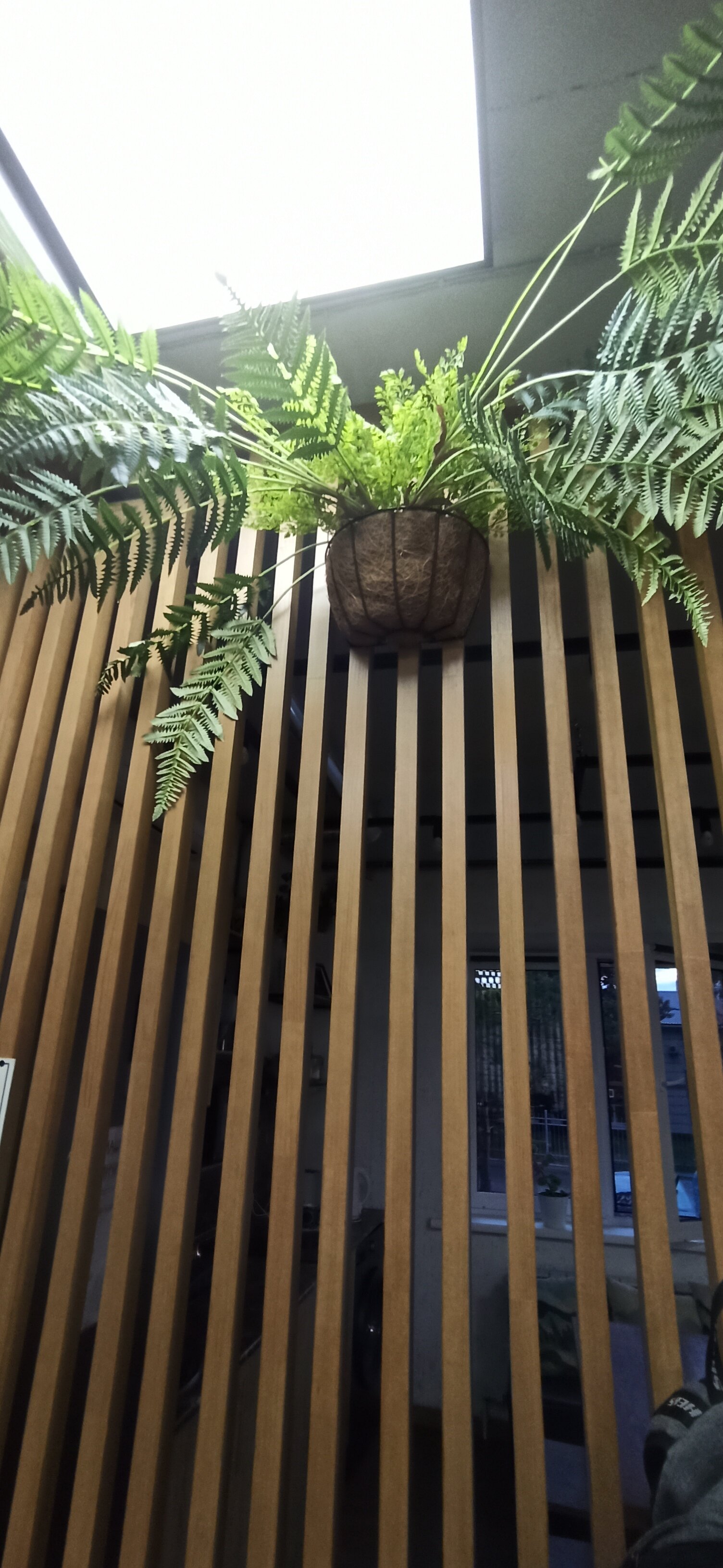 Фото Sleep Box Hostel