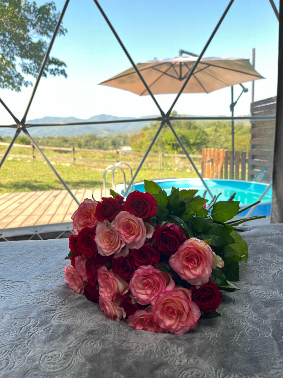 Фото Даховская Сфера