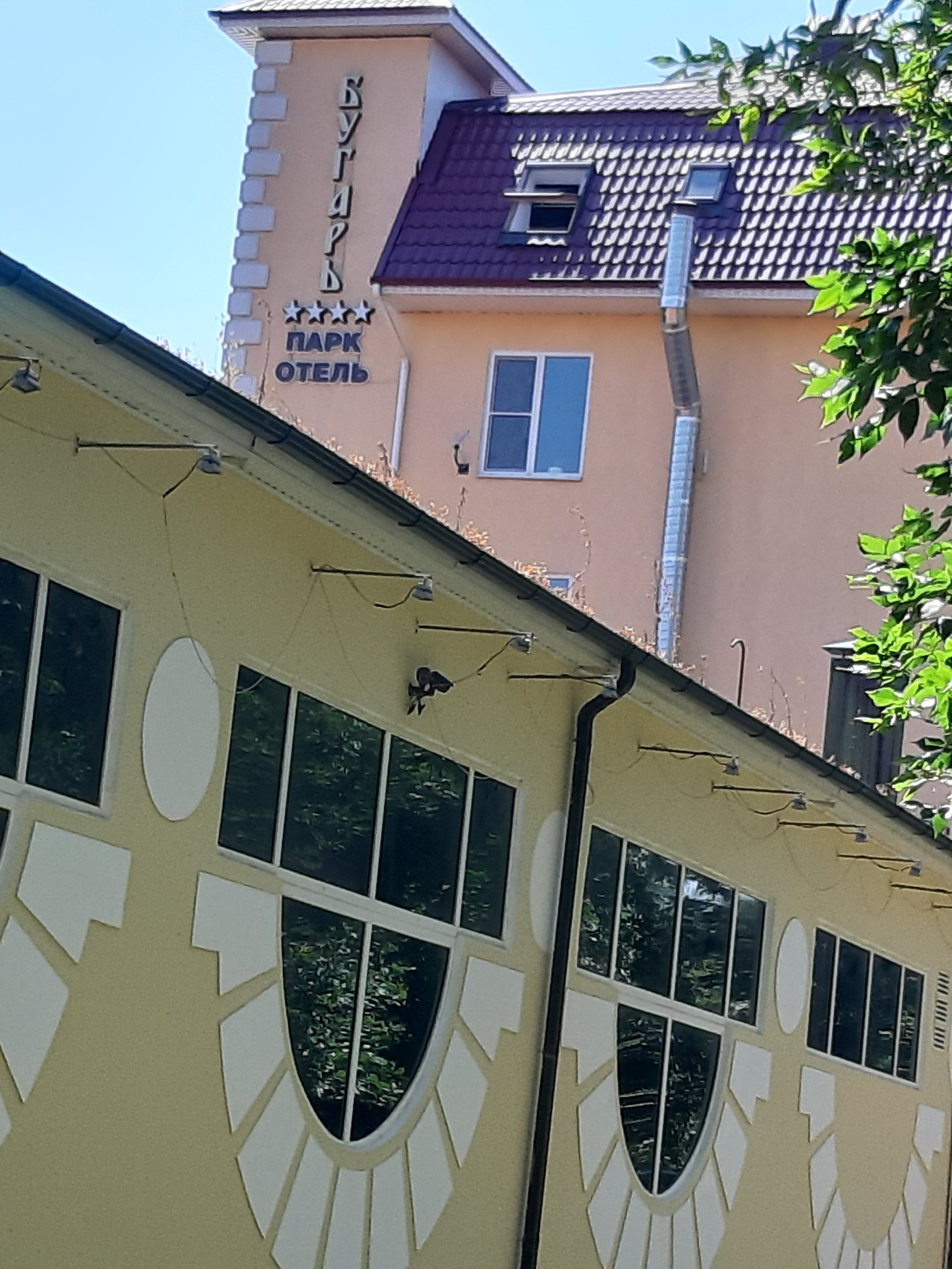 Фото Бугарь