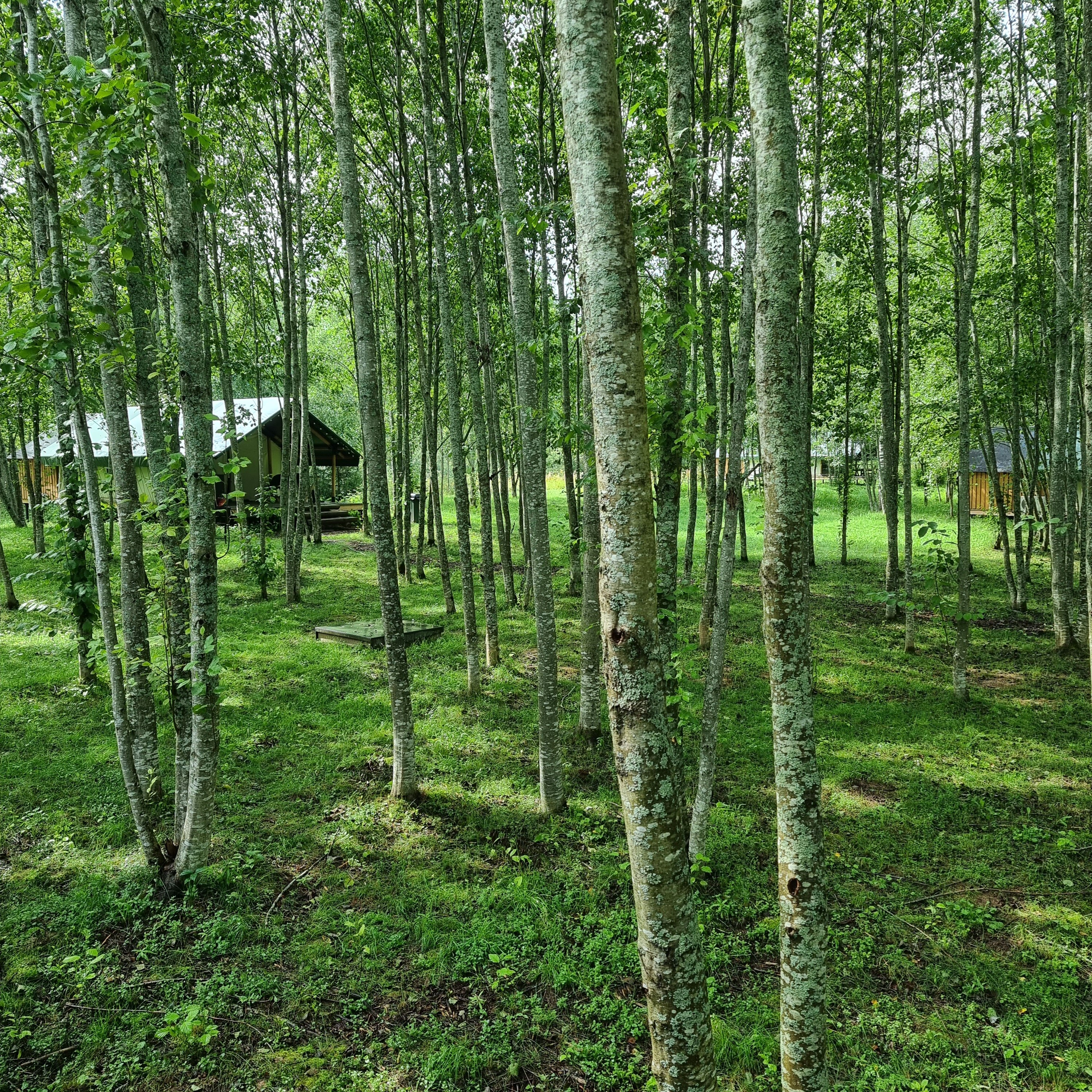 Фото Удачное Кемп