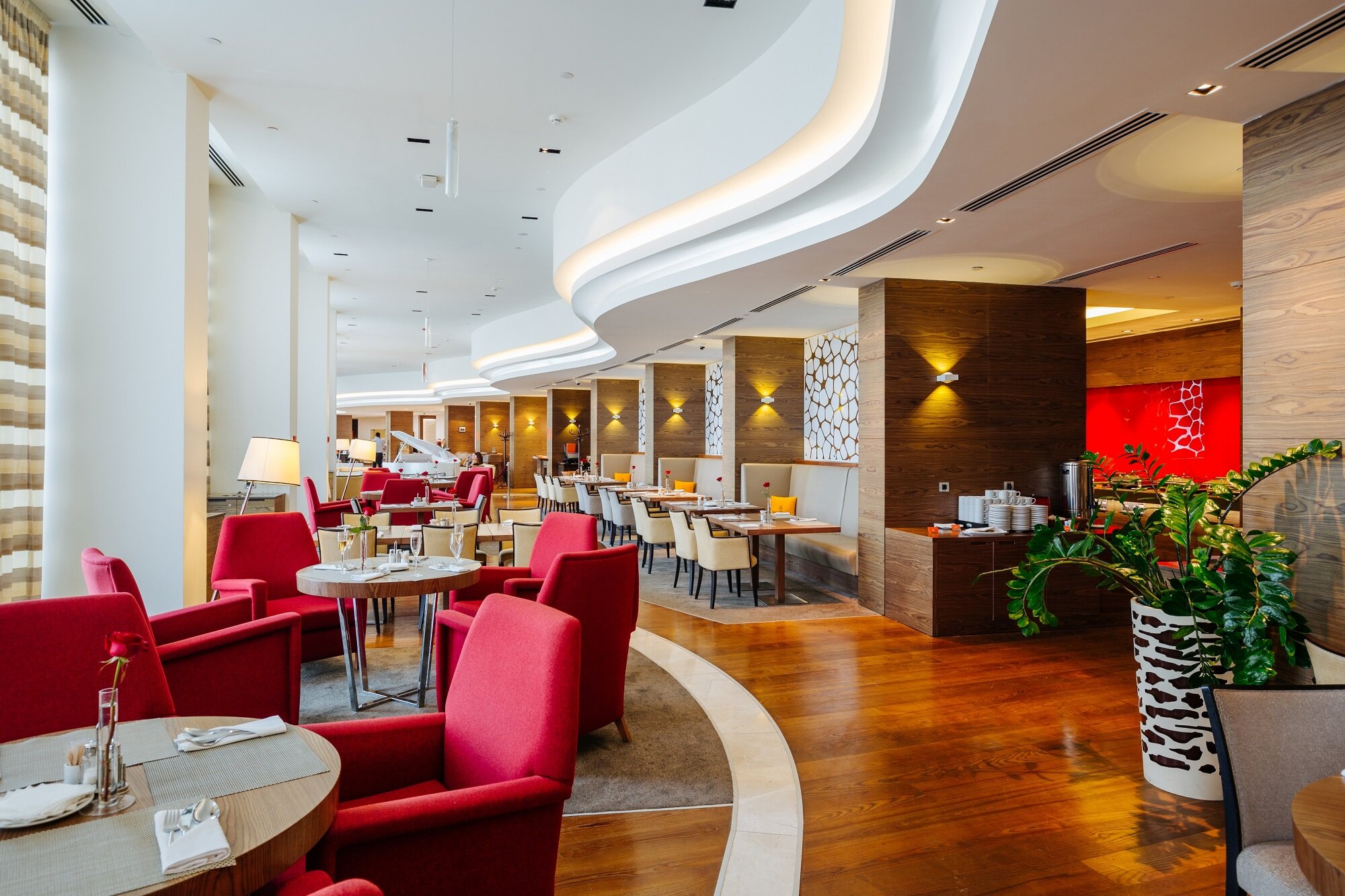 Фото Альфа Сириус