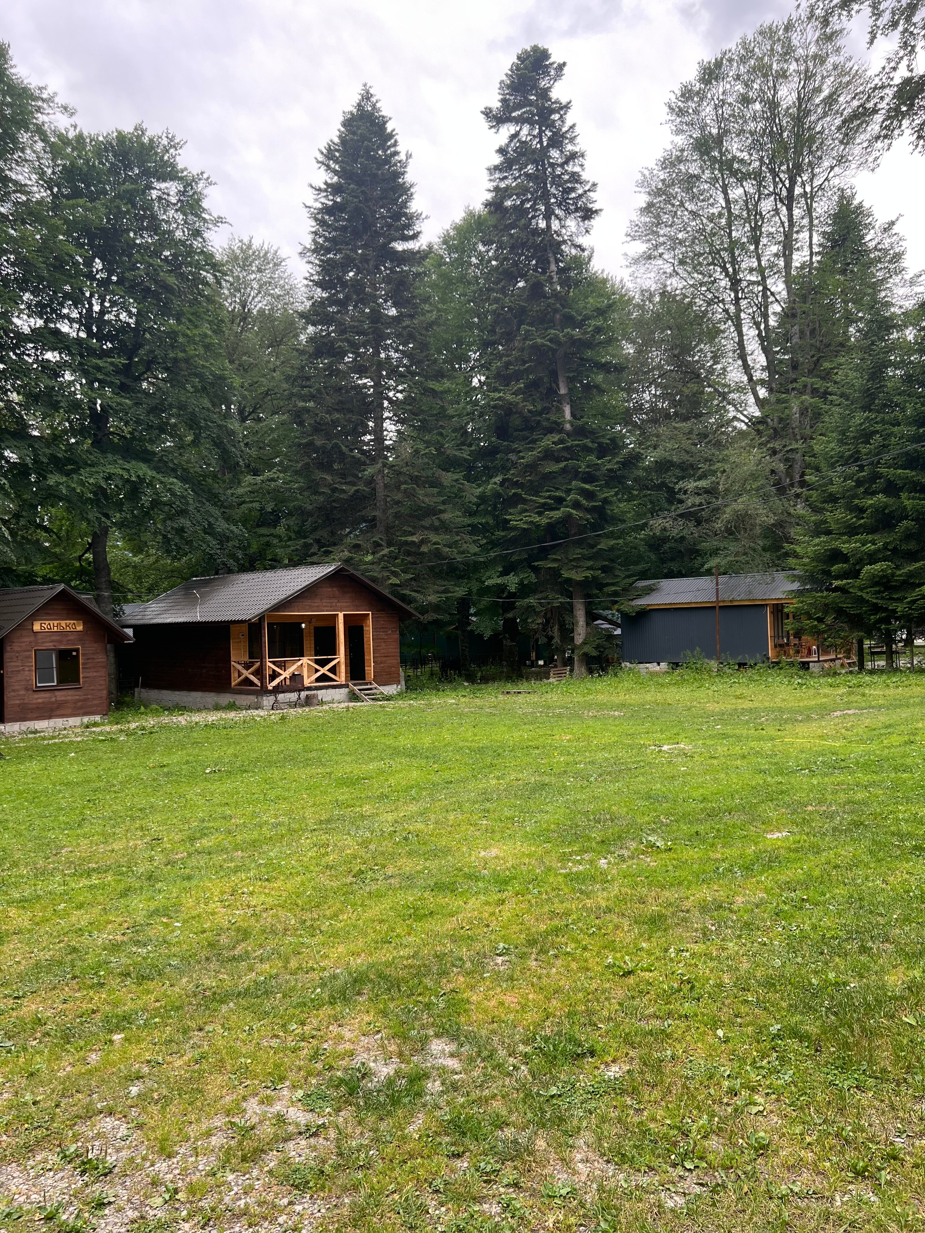 Фото Forest Yard