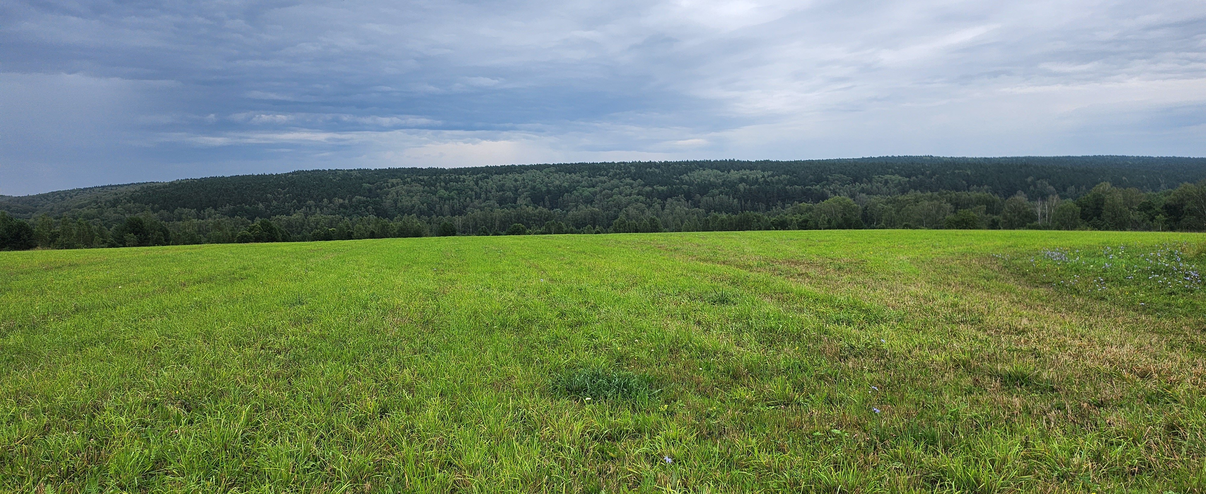 Фото Ясно Поле