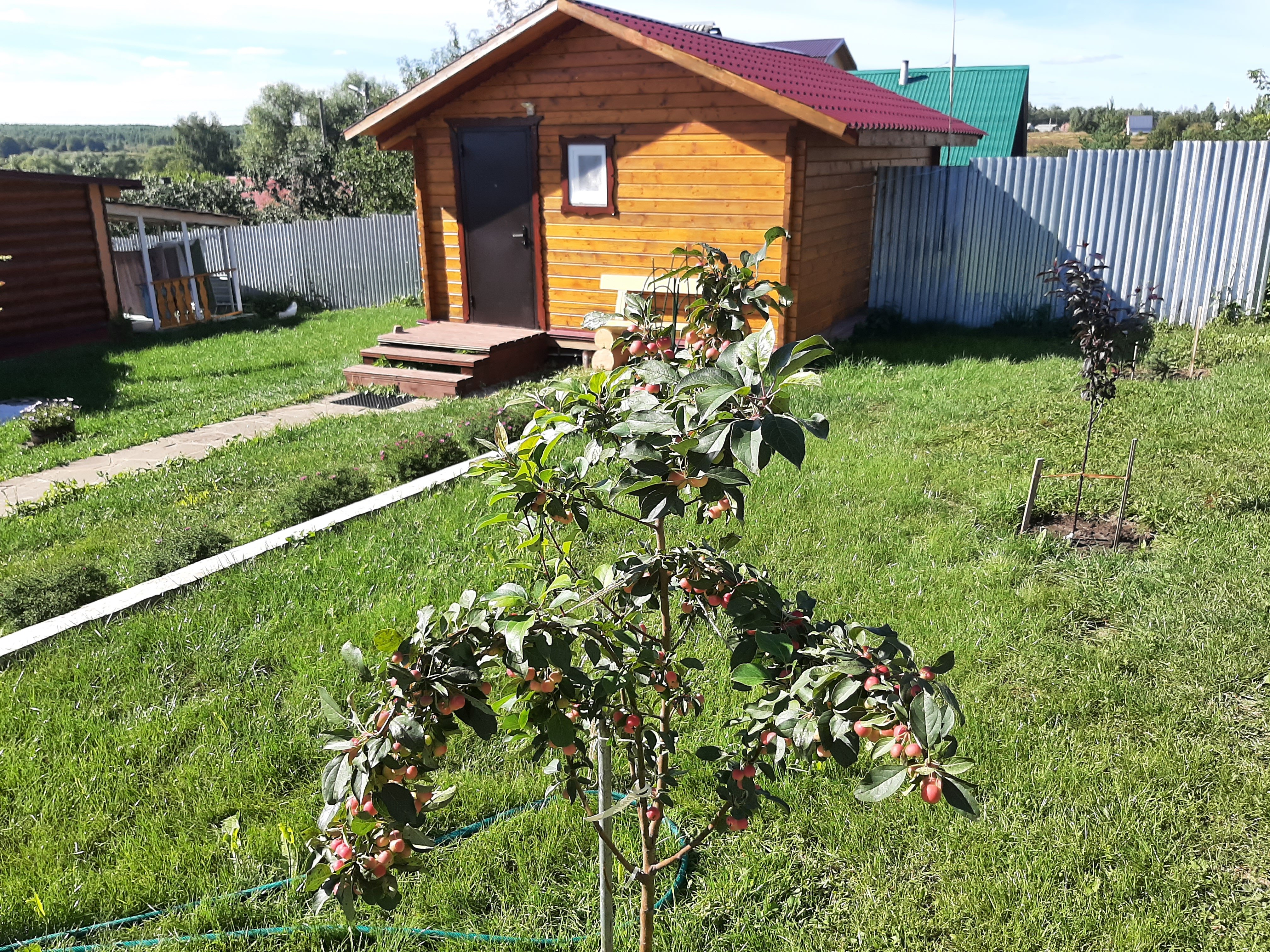 Фото Нагорный