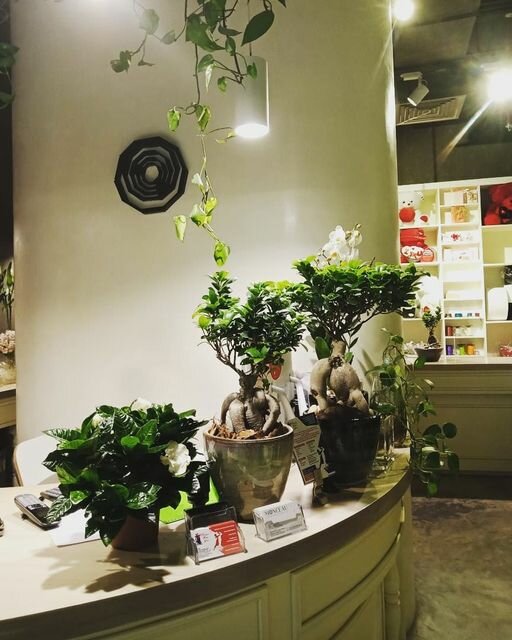 Flower shop Monceau Flowers, Dubai, photo