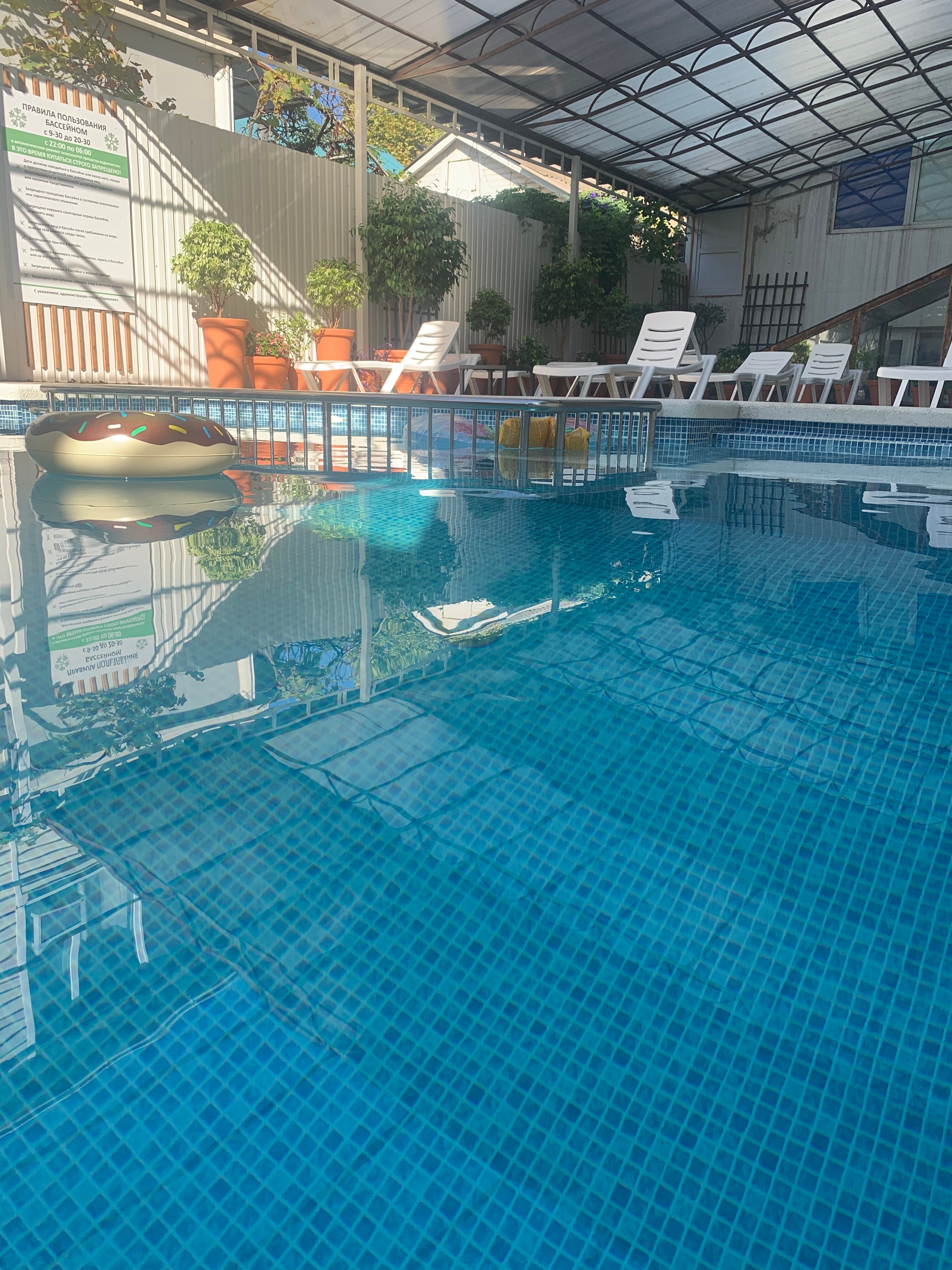 Фото Гармония