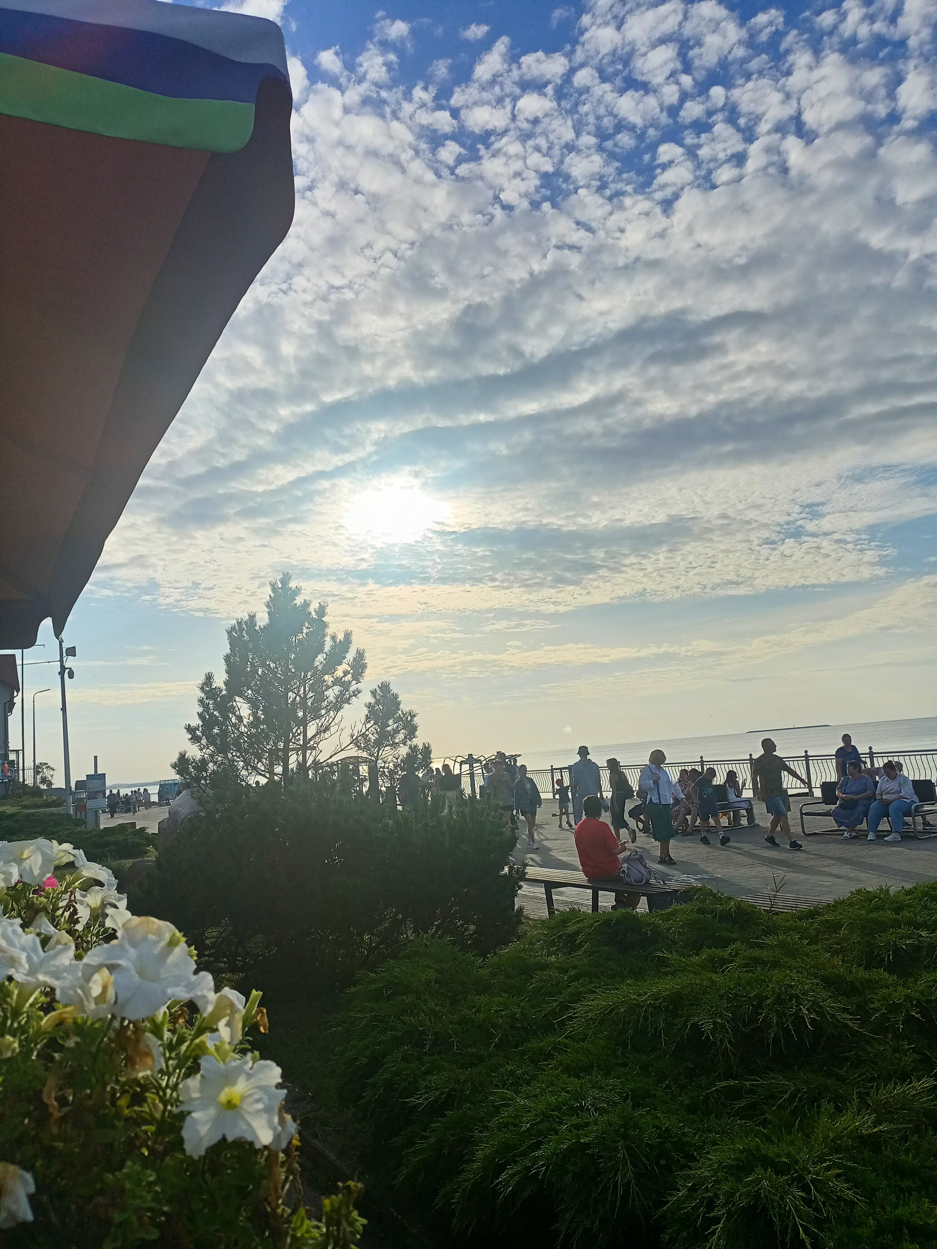 Фото Резиденция