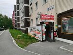 Diana (ulitsa 50 let VLKSM, 13), grocery