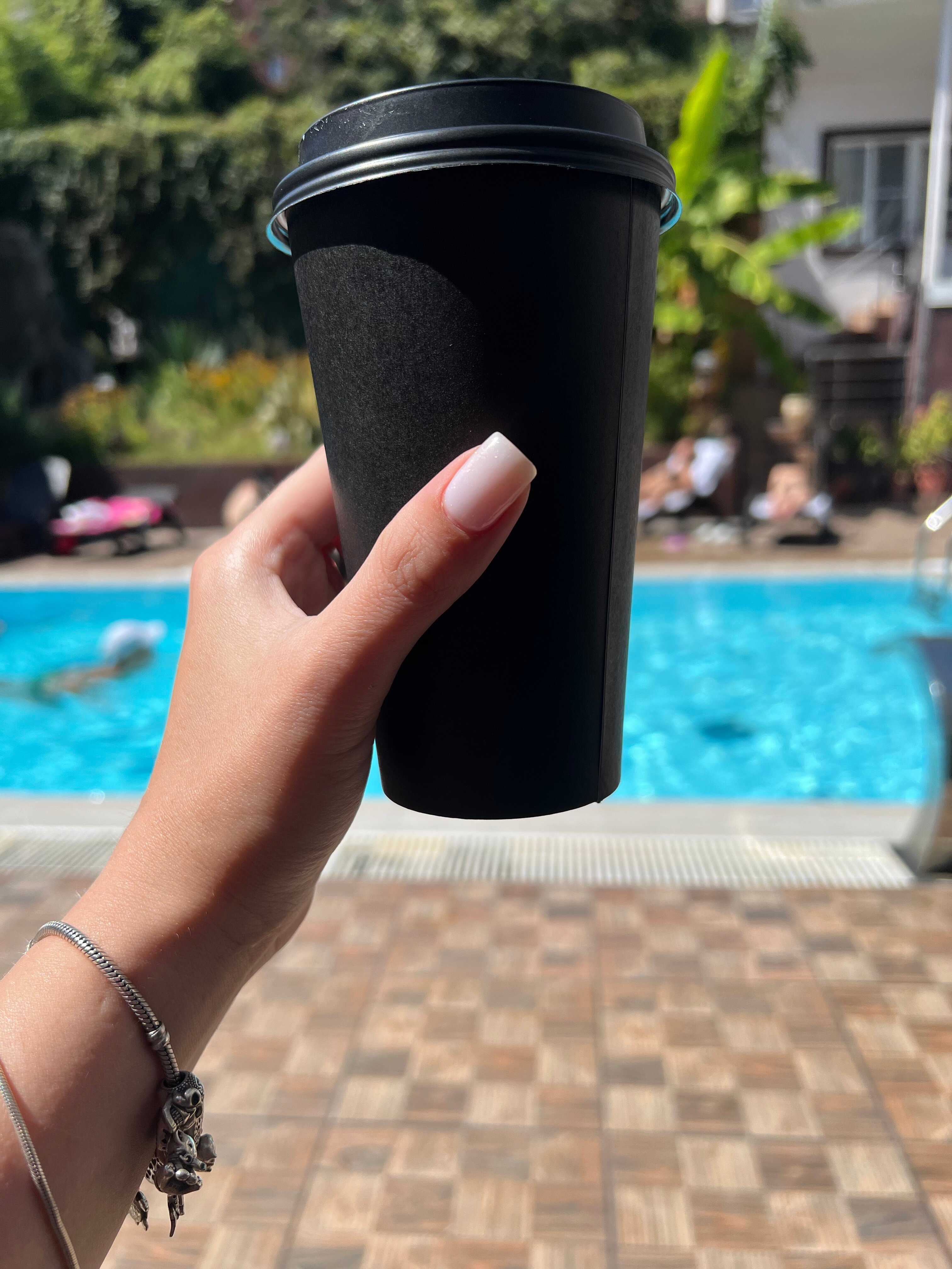 Фото Азалия Мимоза