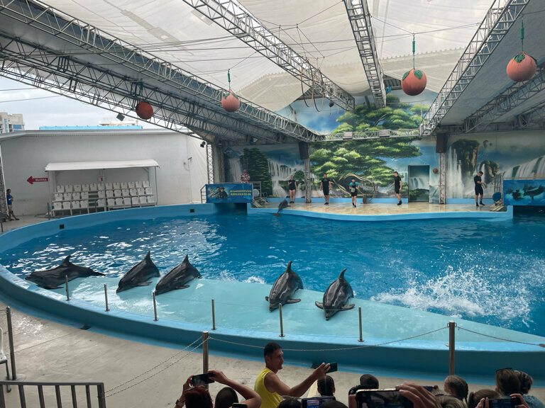 Dolphinarium Anapsky delfinary, Anapa, photo