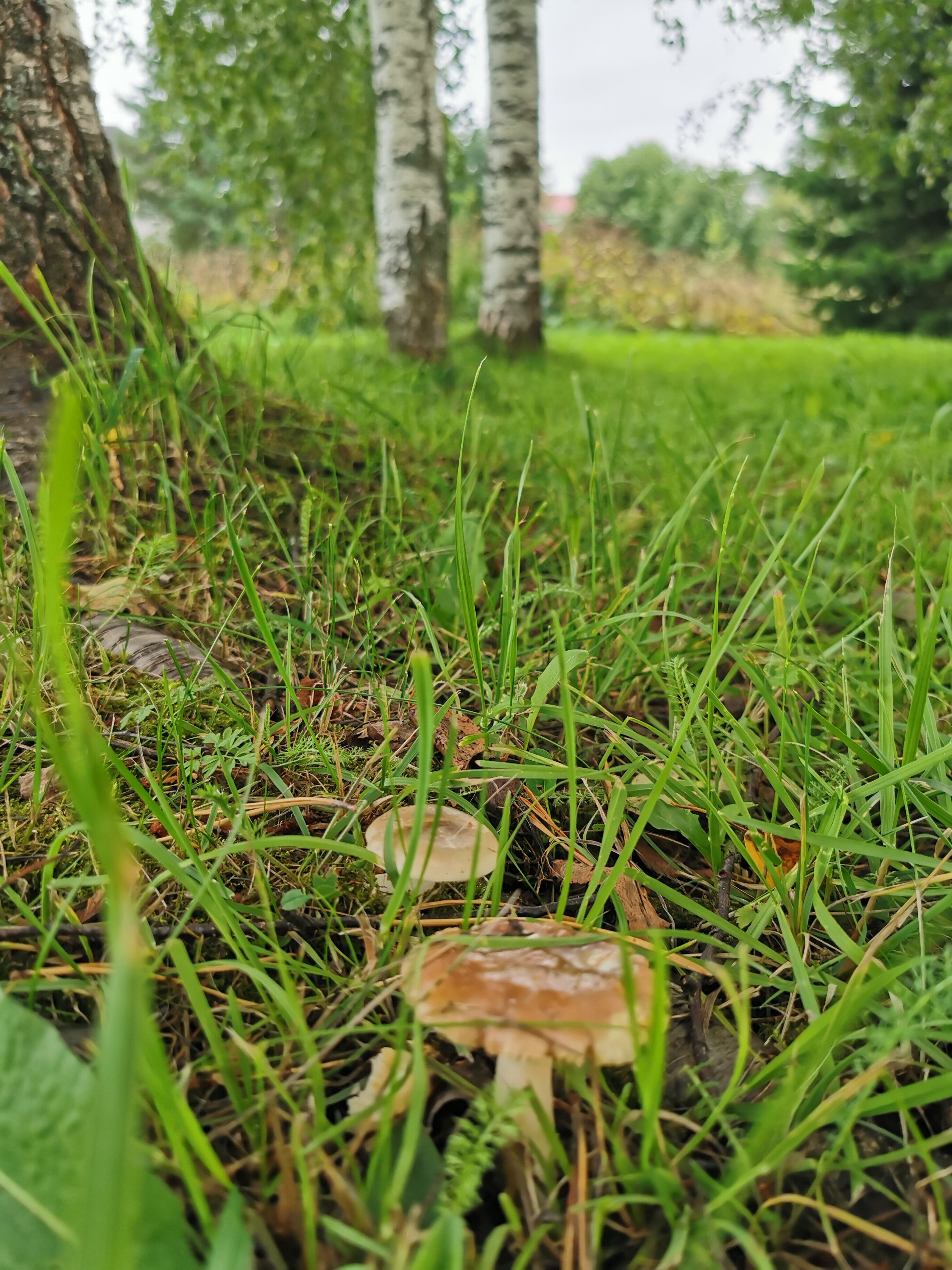 Фото Дом у озера Хюмпелянъярви