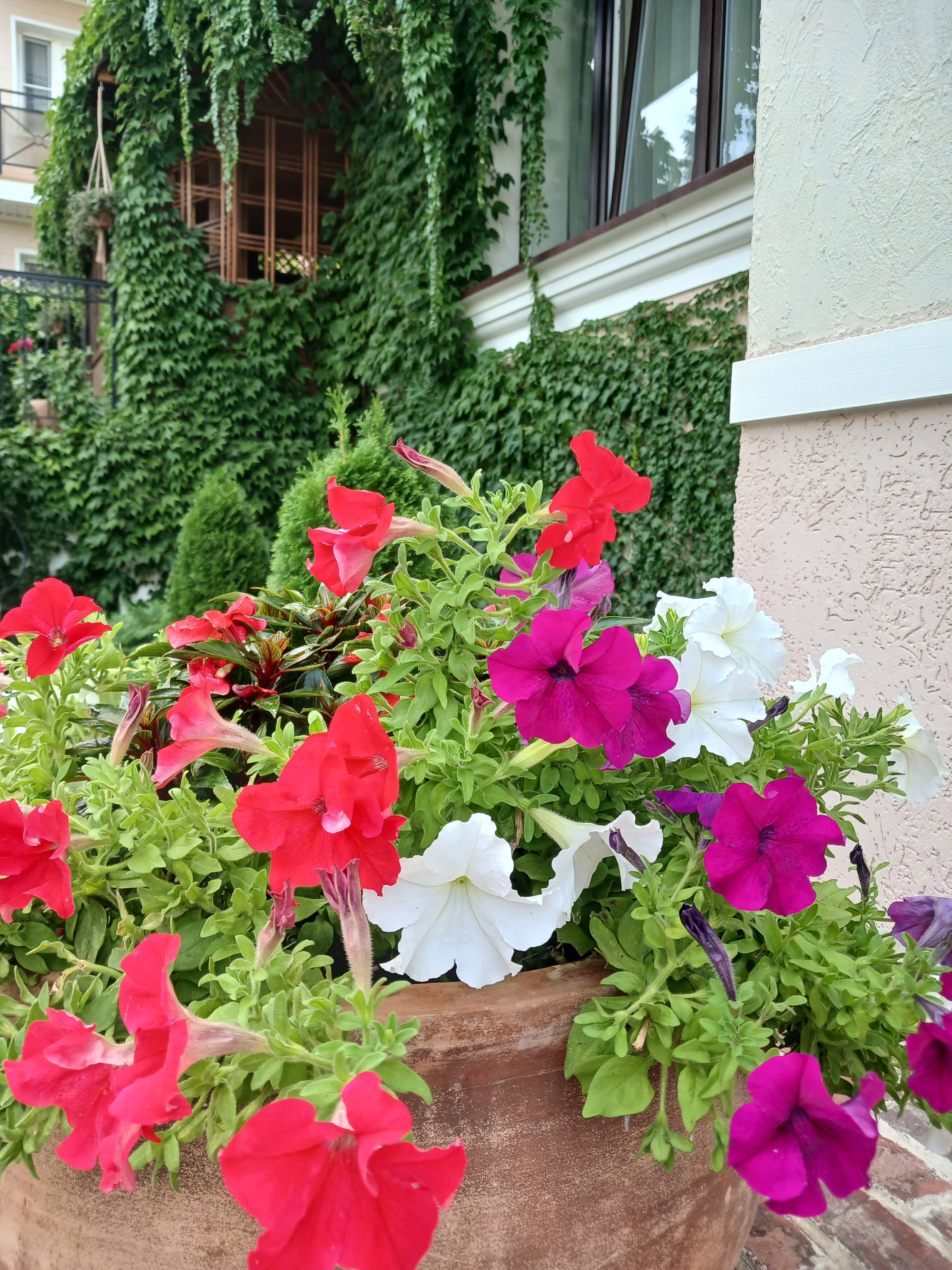 Фото Rimma’s house