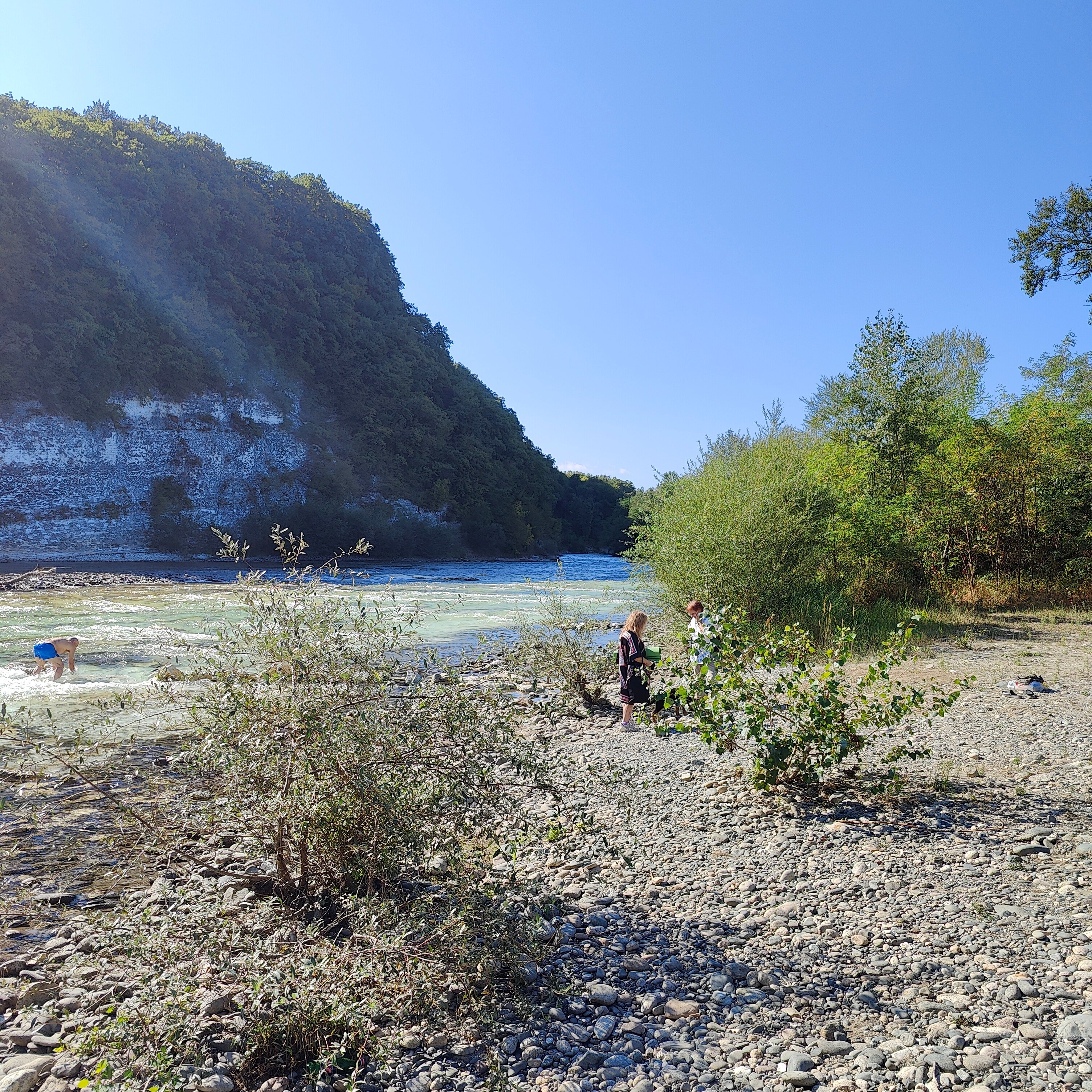 Фото Березки