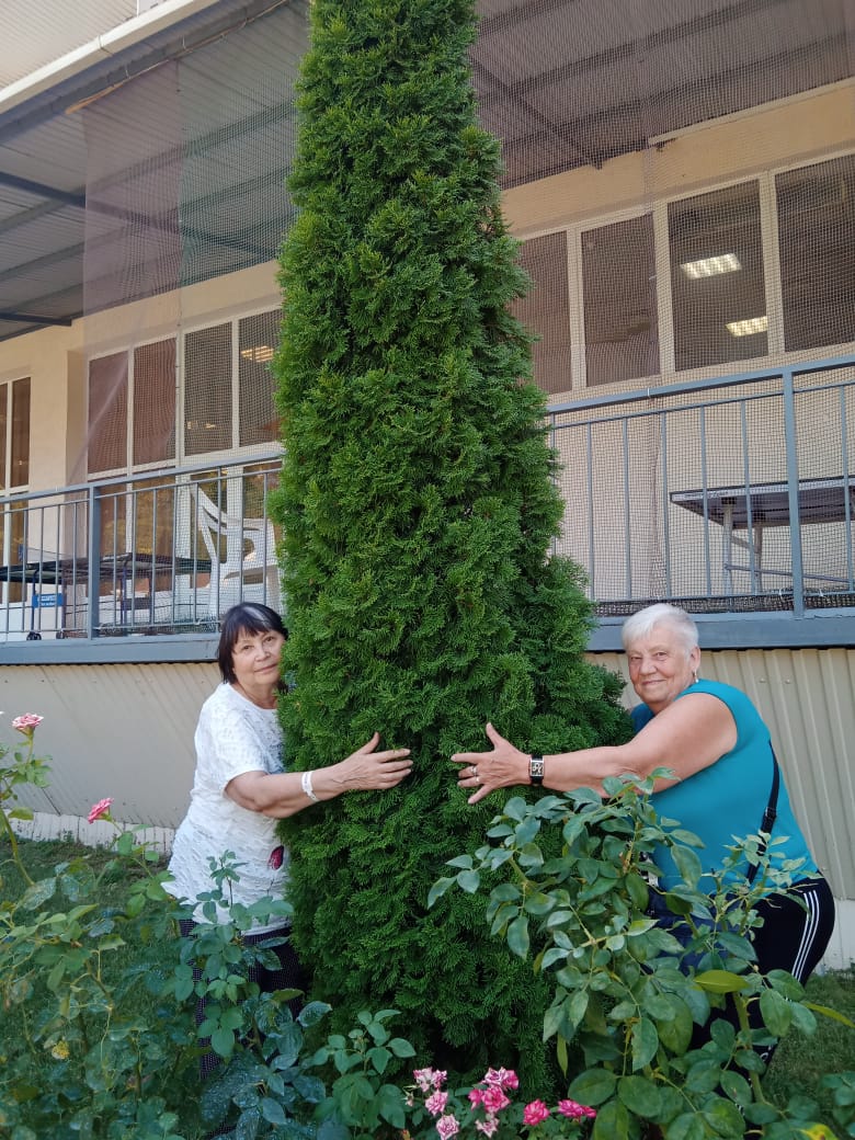 Фото Фламинго