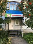 Пифагорка (ulitsa Yelkina, 92) ، مركز تنمية الأطفال