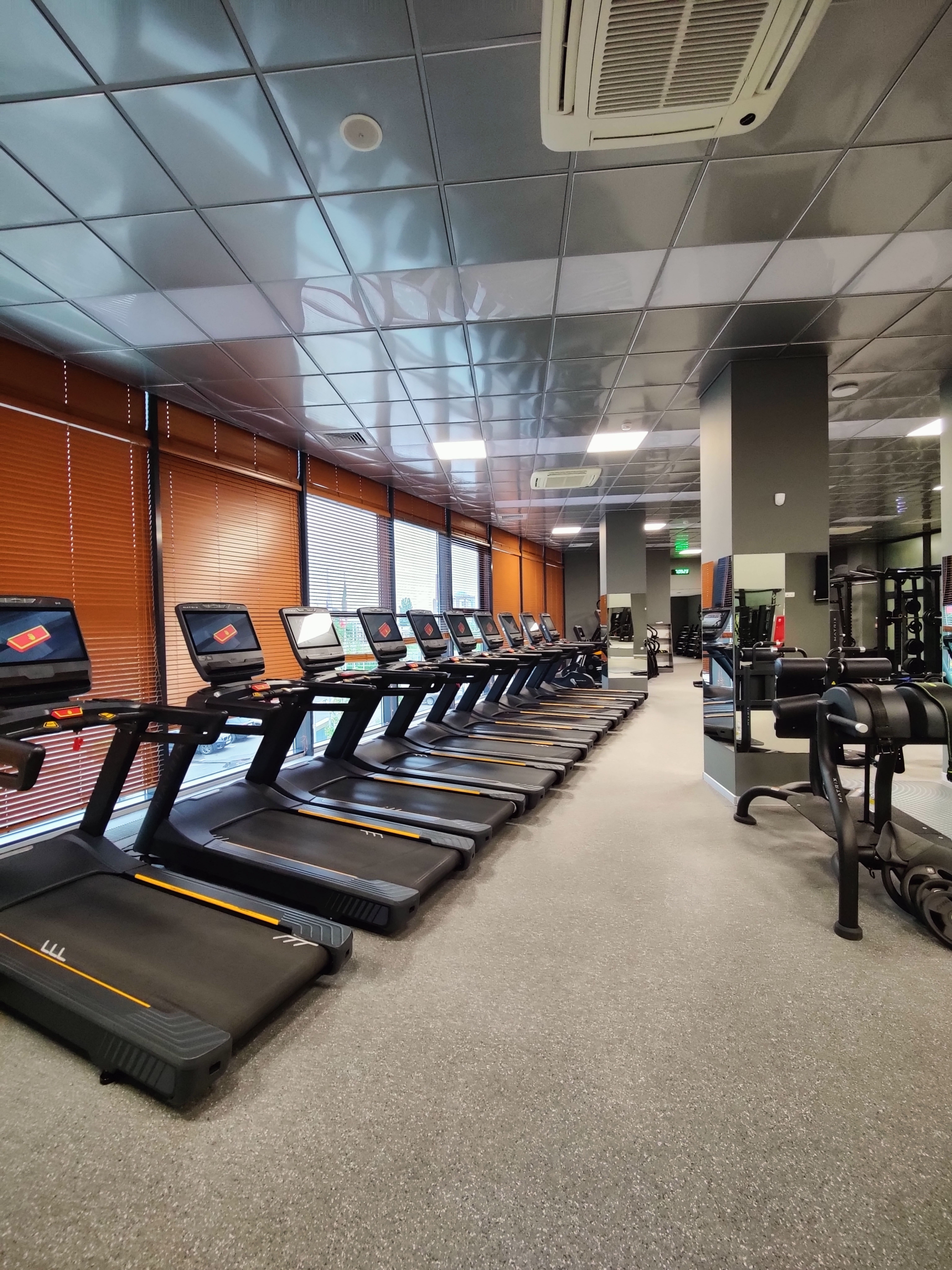 Фото Эдельвейс