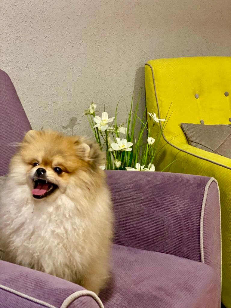 Фото Жданова апарт