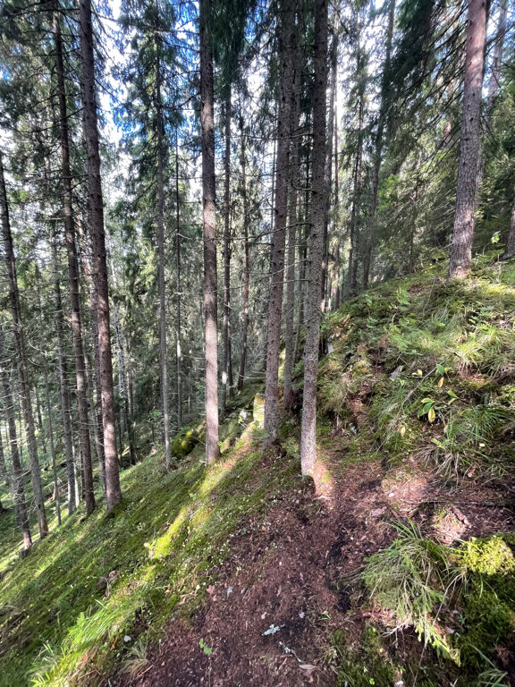 Фото Коттеджи Матриярви