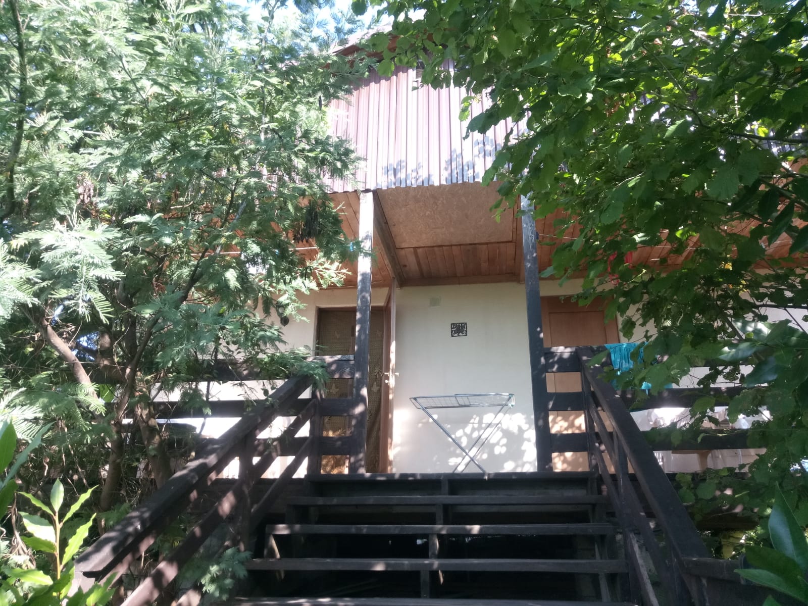 Фото У Комаровых