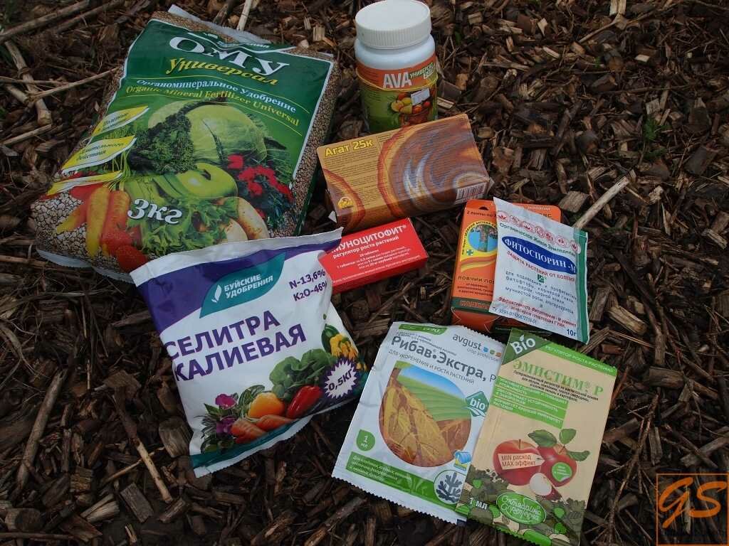 2. Время и способ внесения