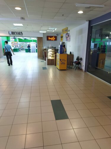 Порно жұлдыздары орысша аудармасымен