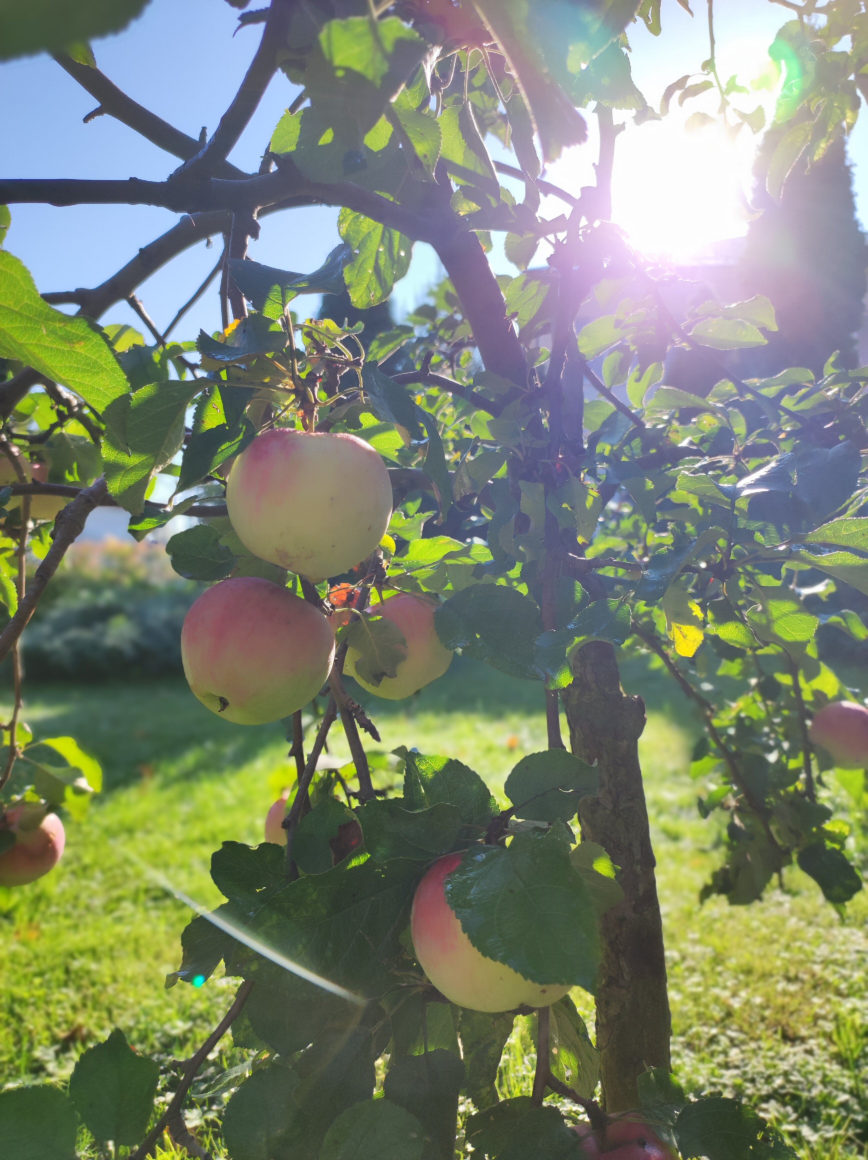 Фото Фитнес-Парк-Отель