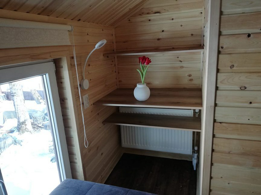 Фото Чинара