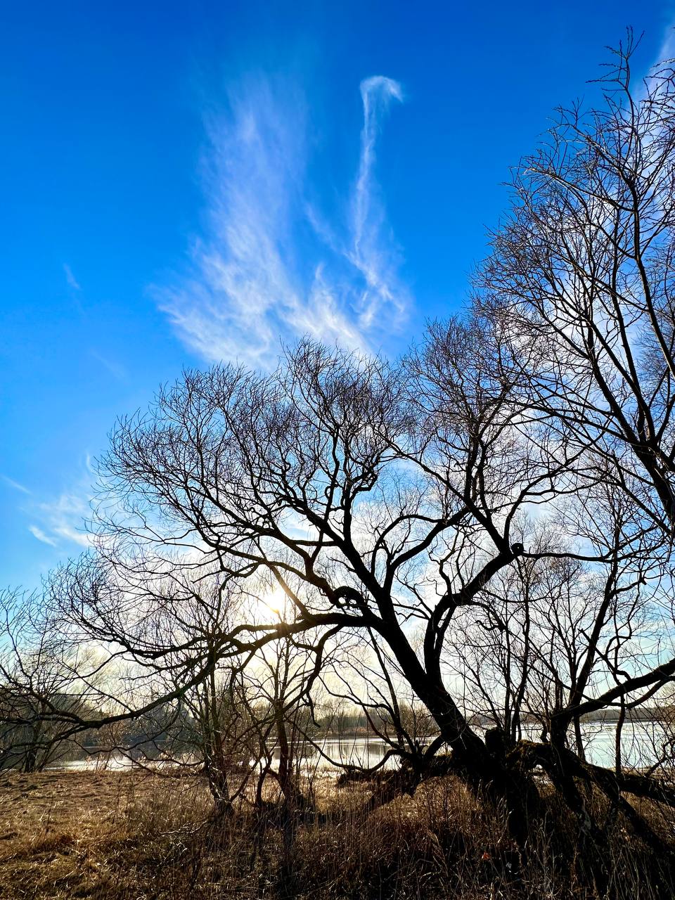 Фото HappyTreeCamp