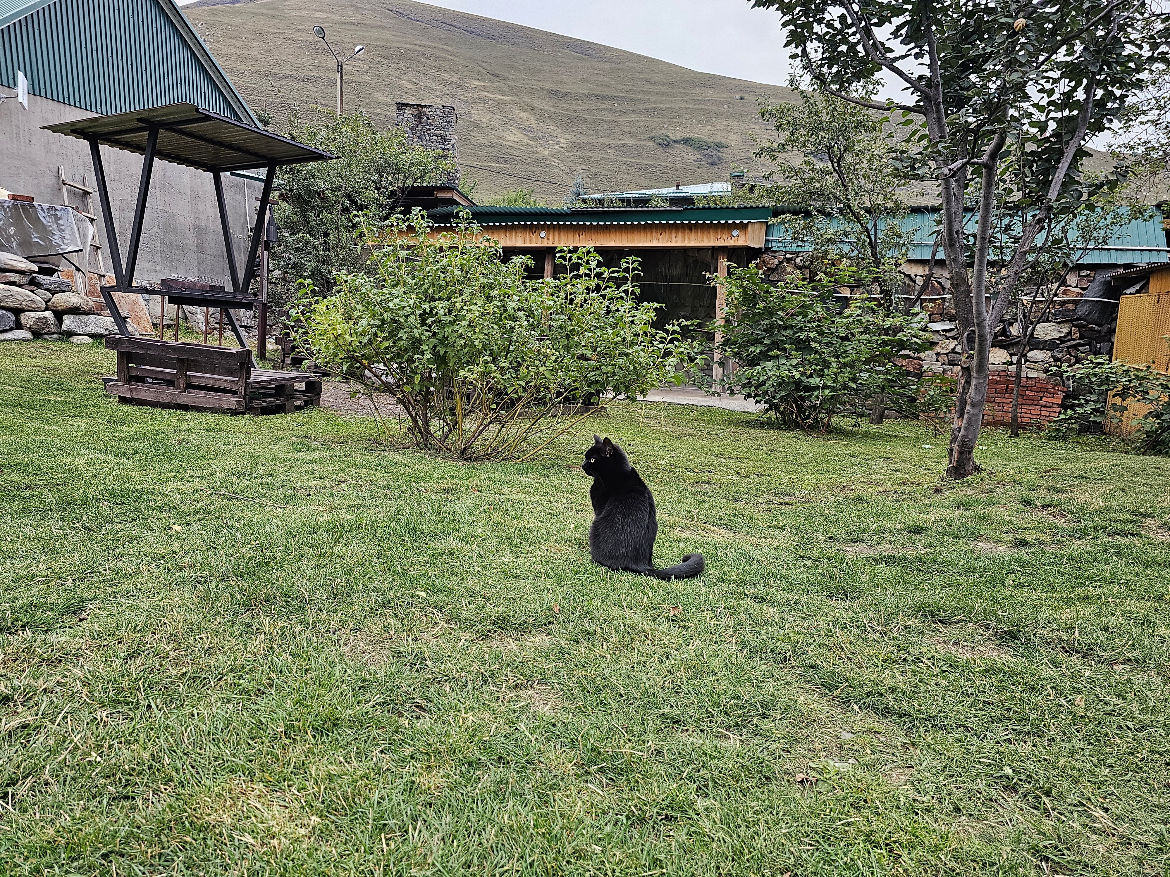 Фото Фруктовый Сад