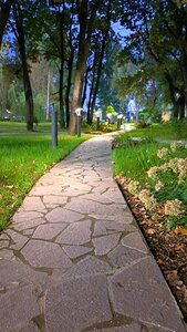 Алымов