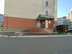 Цветоводство (Shirotnaya ulitsa, 124), gardening shop
