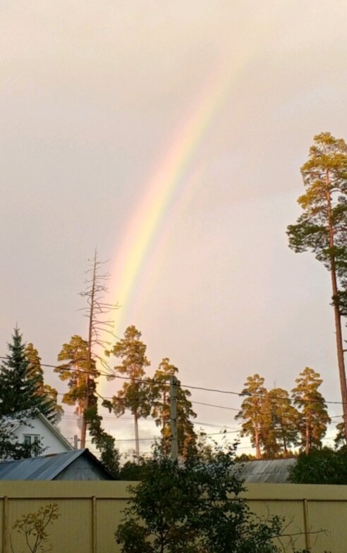 Фото Серебряный бор
