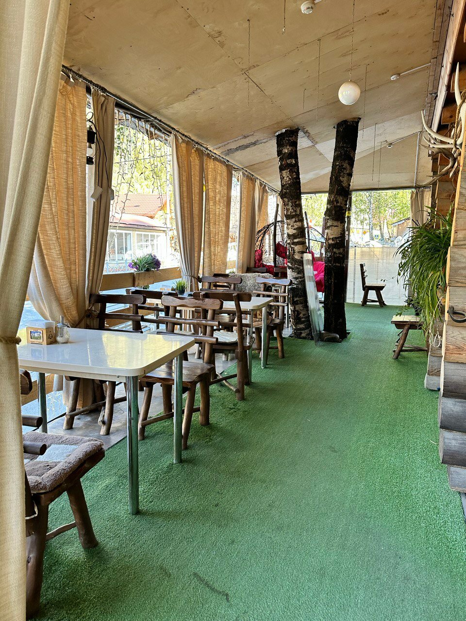 Фото Шафран