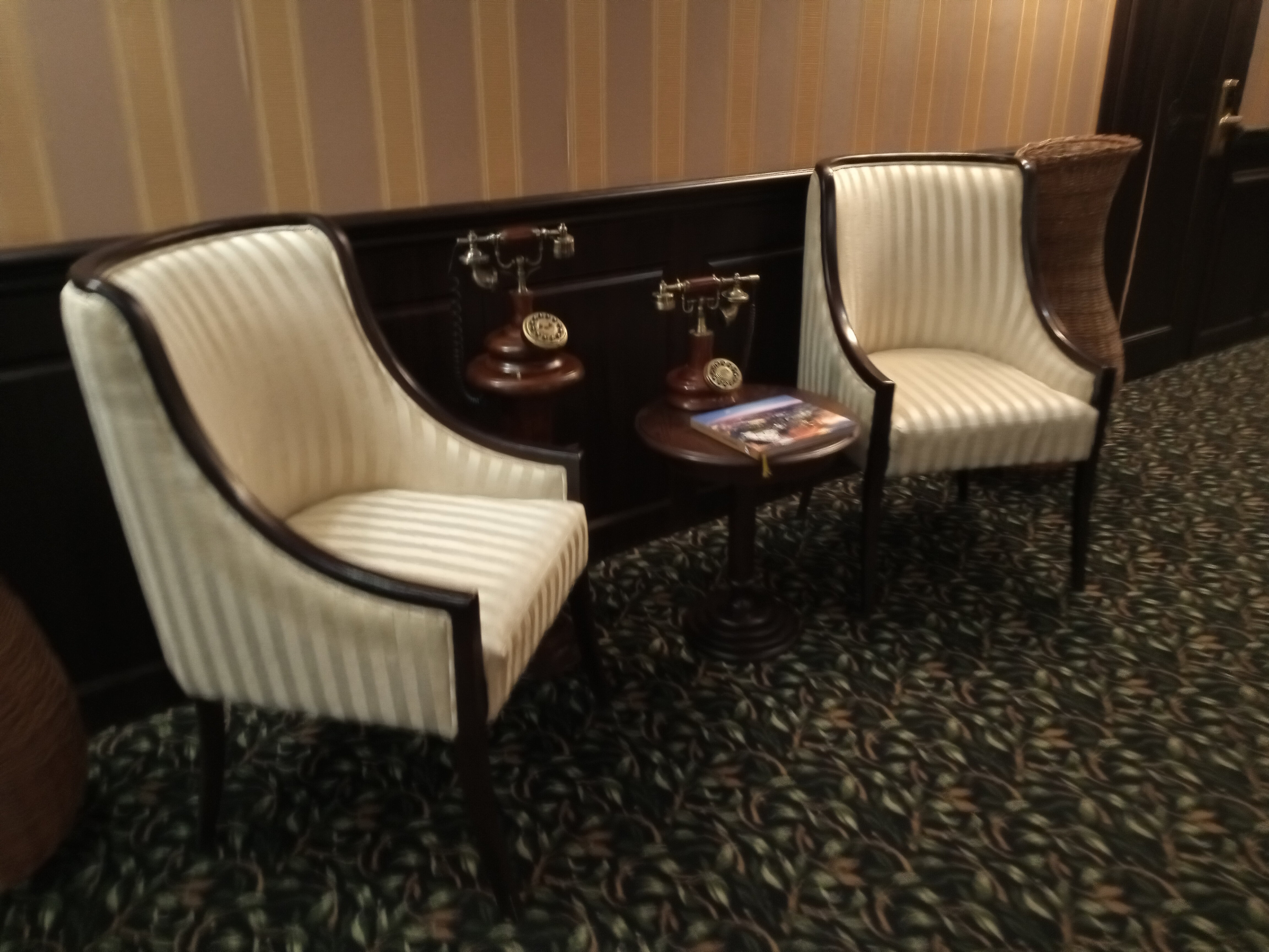 Фото Монарх