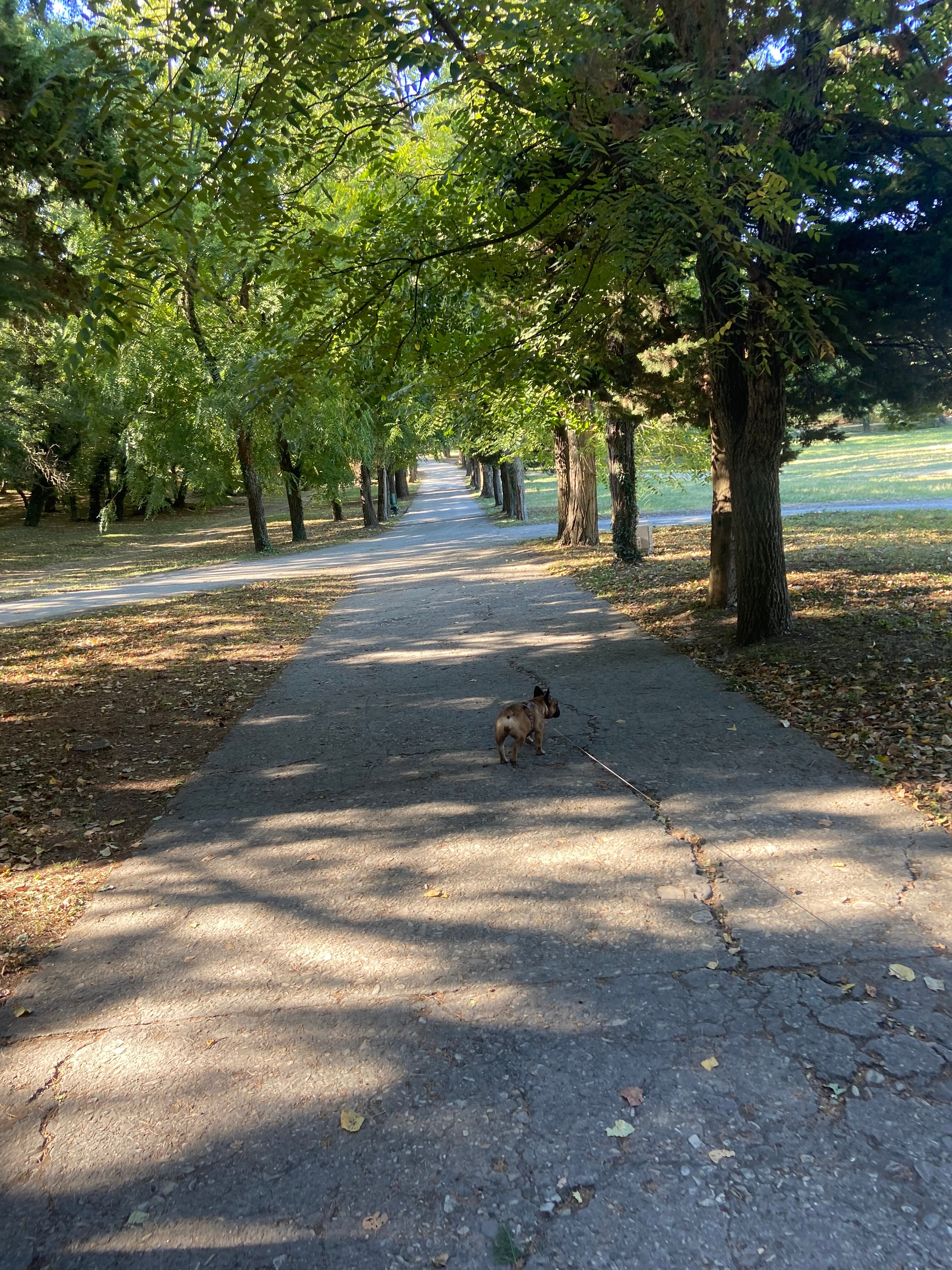 Фото Акварель