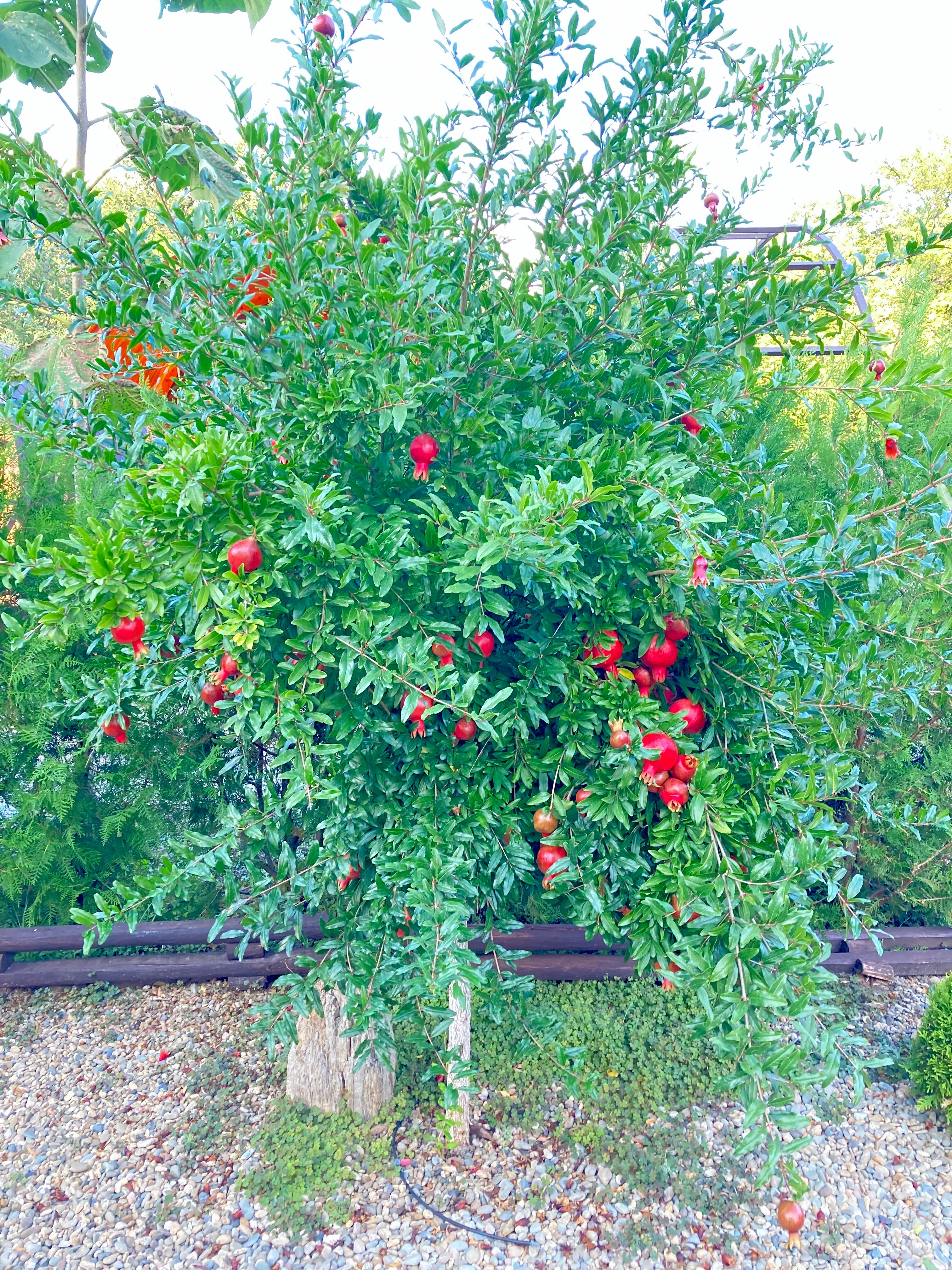 Фото Надежда