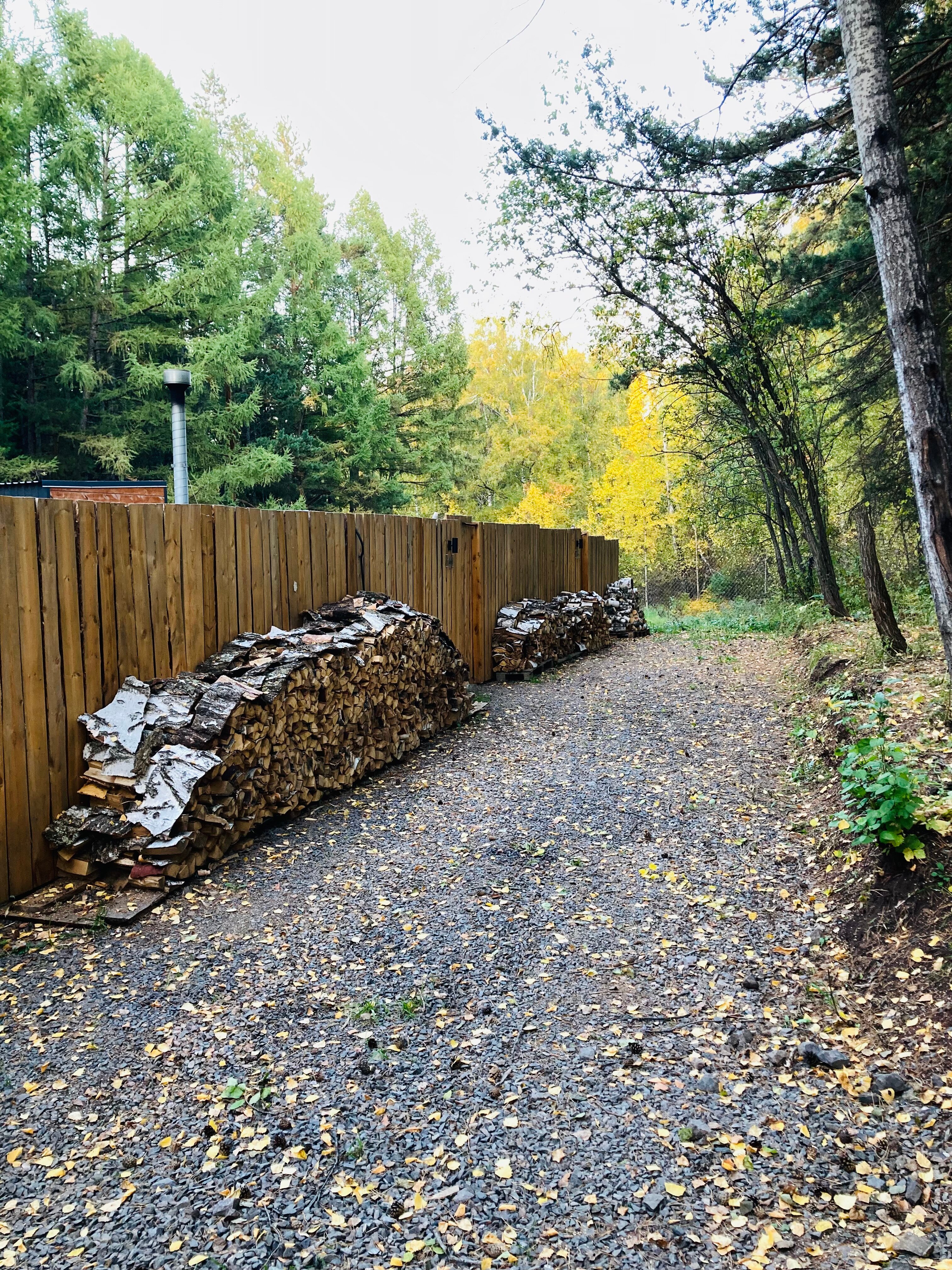 Фото Домики в лесу