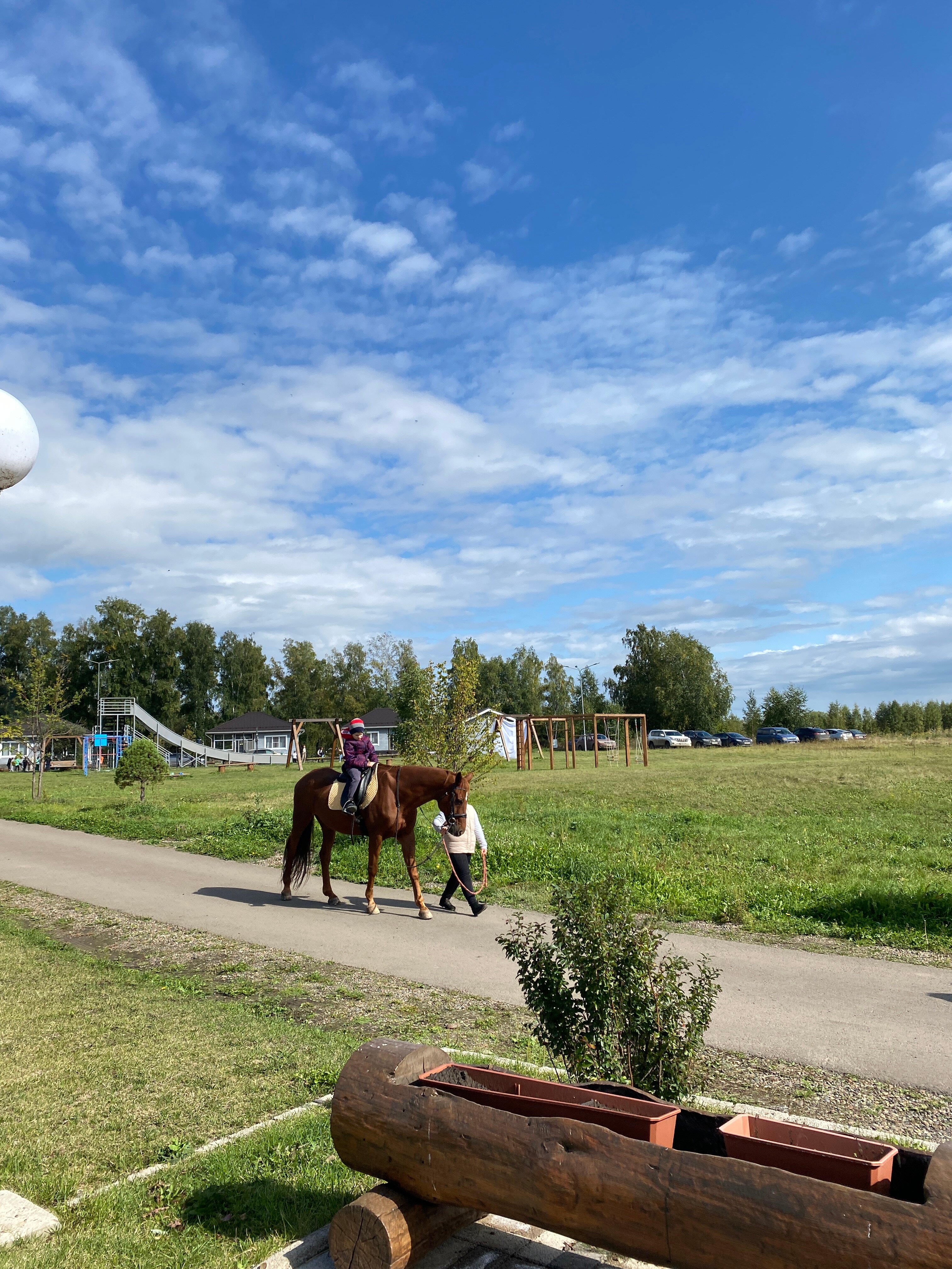 Фото Бабушкина дача