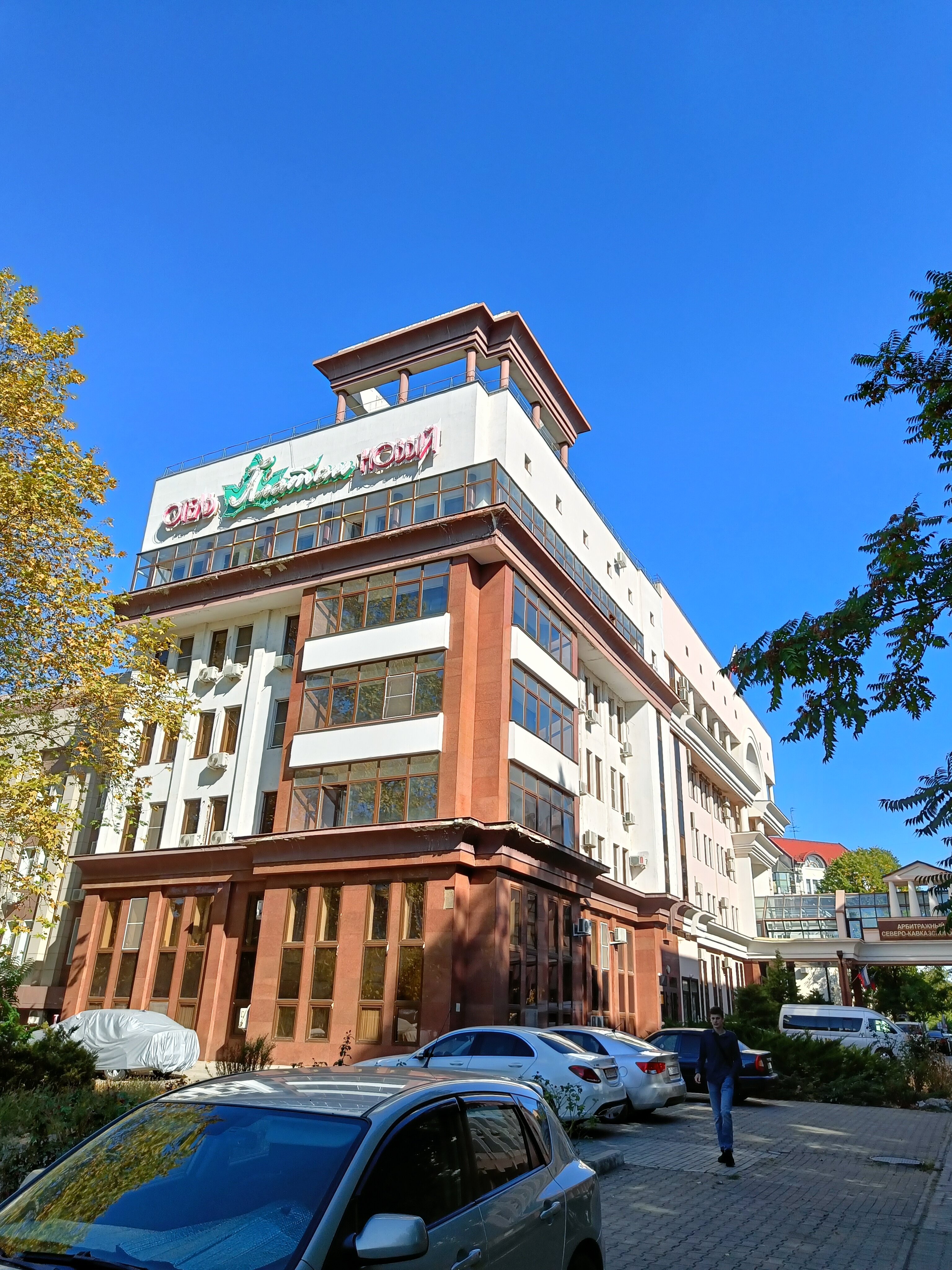 Фото Платан