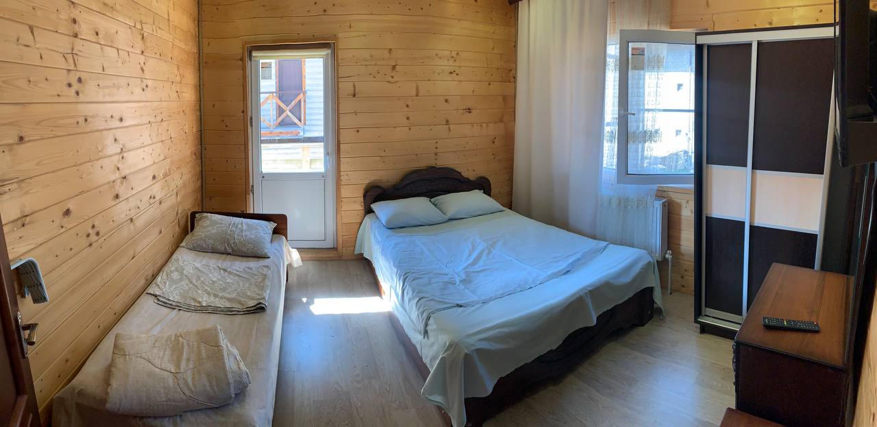 Фото 3 сосны