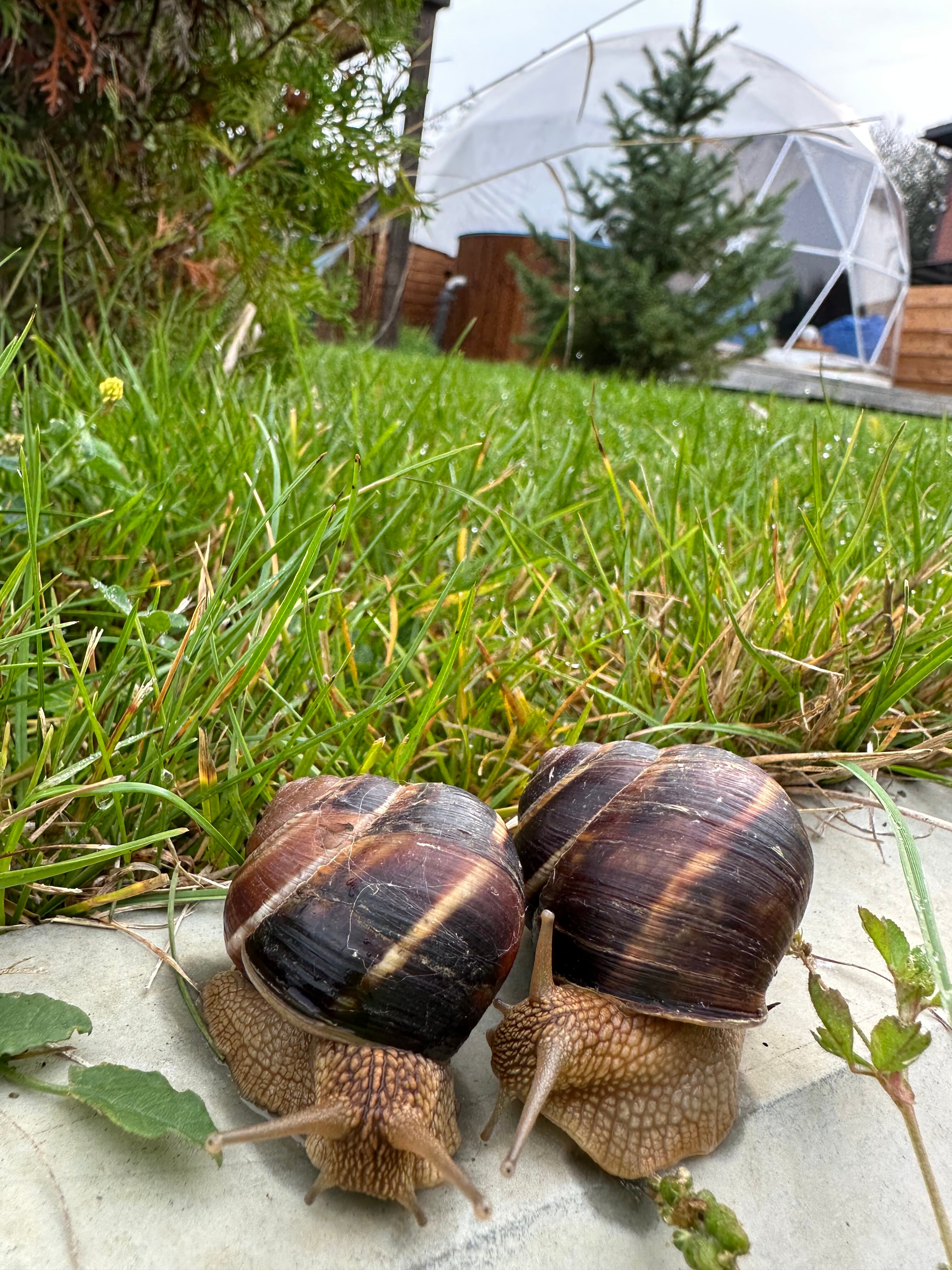 Фото Дыхание Адыгеи