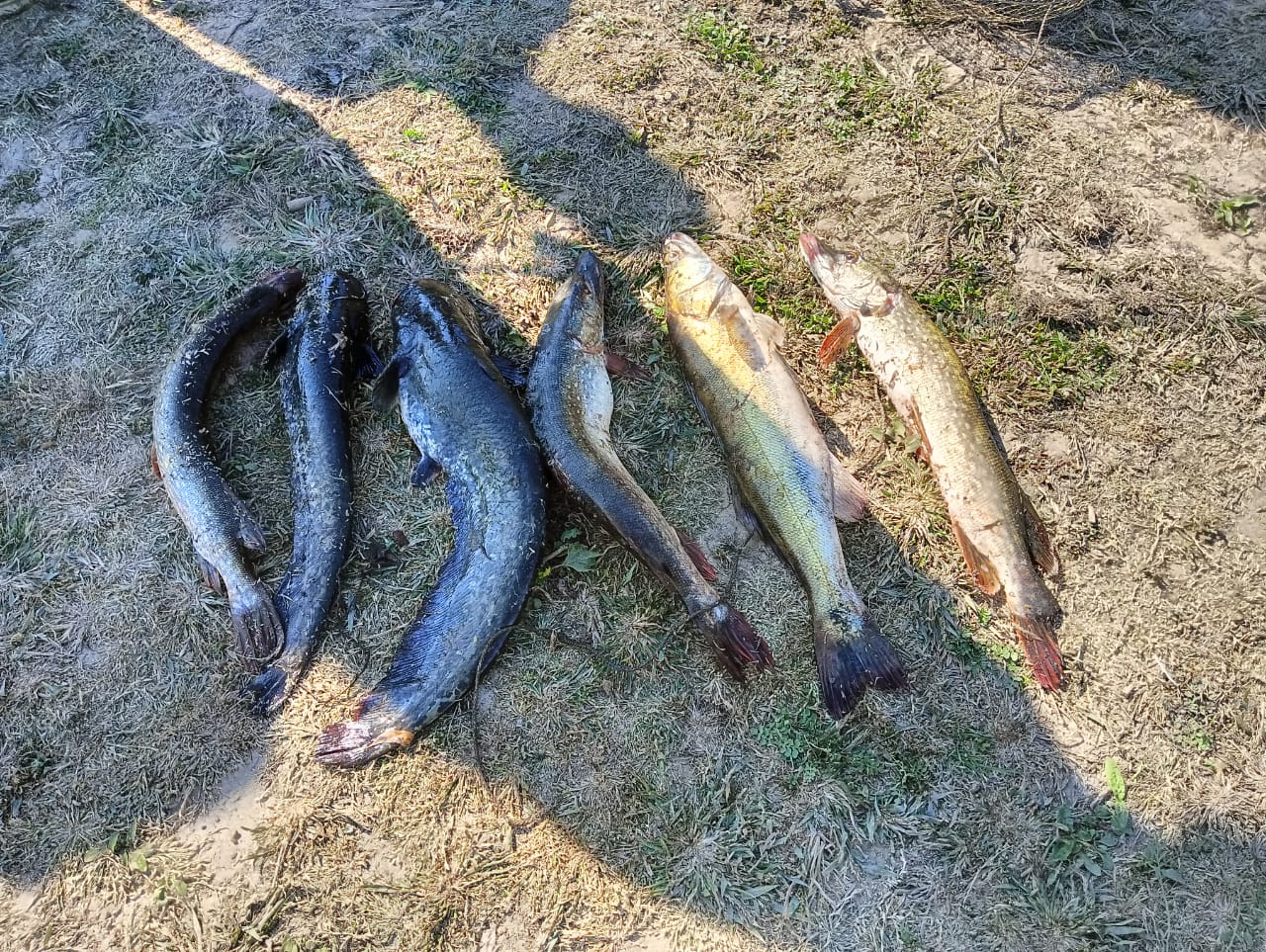 Фото Посейдон Тревелс