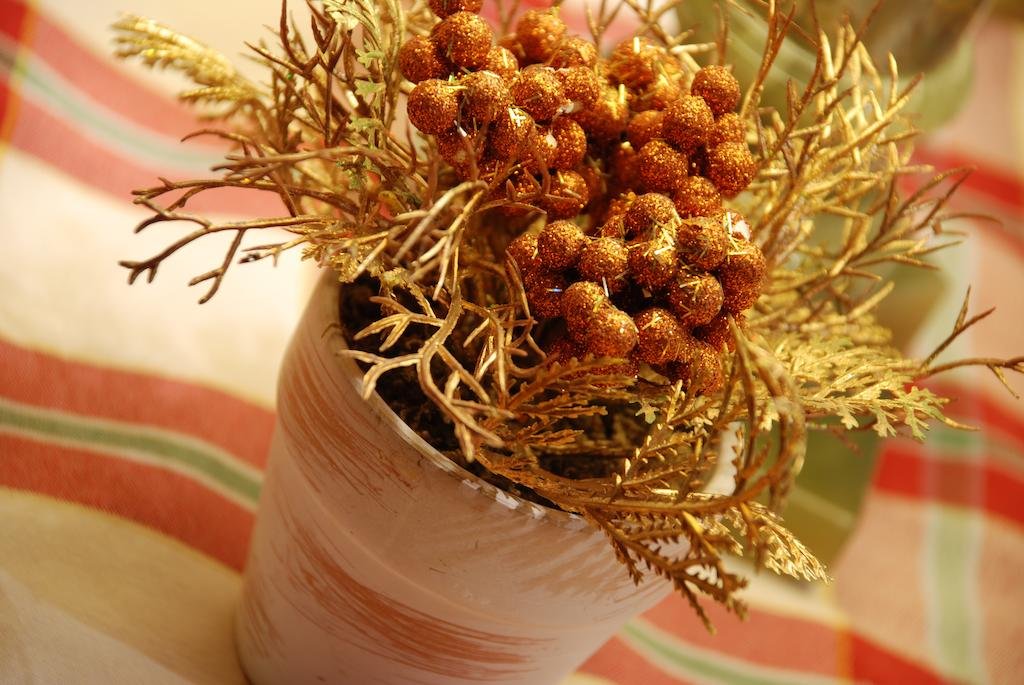 Фото Hotel Galli's - Centro