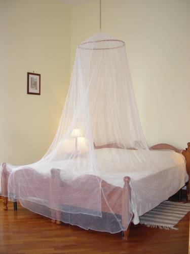 Фото A Vinicius et Mita