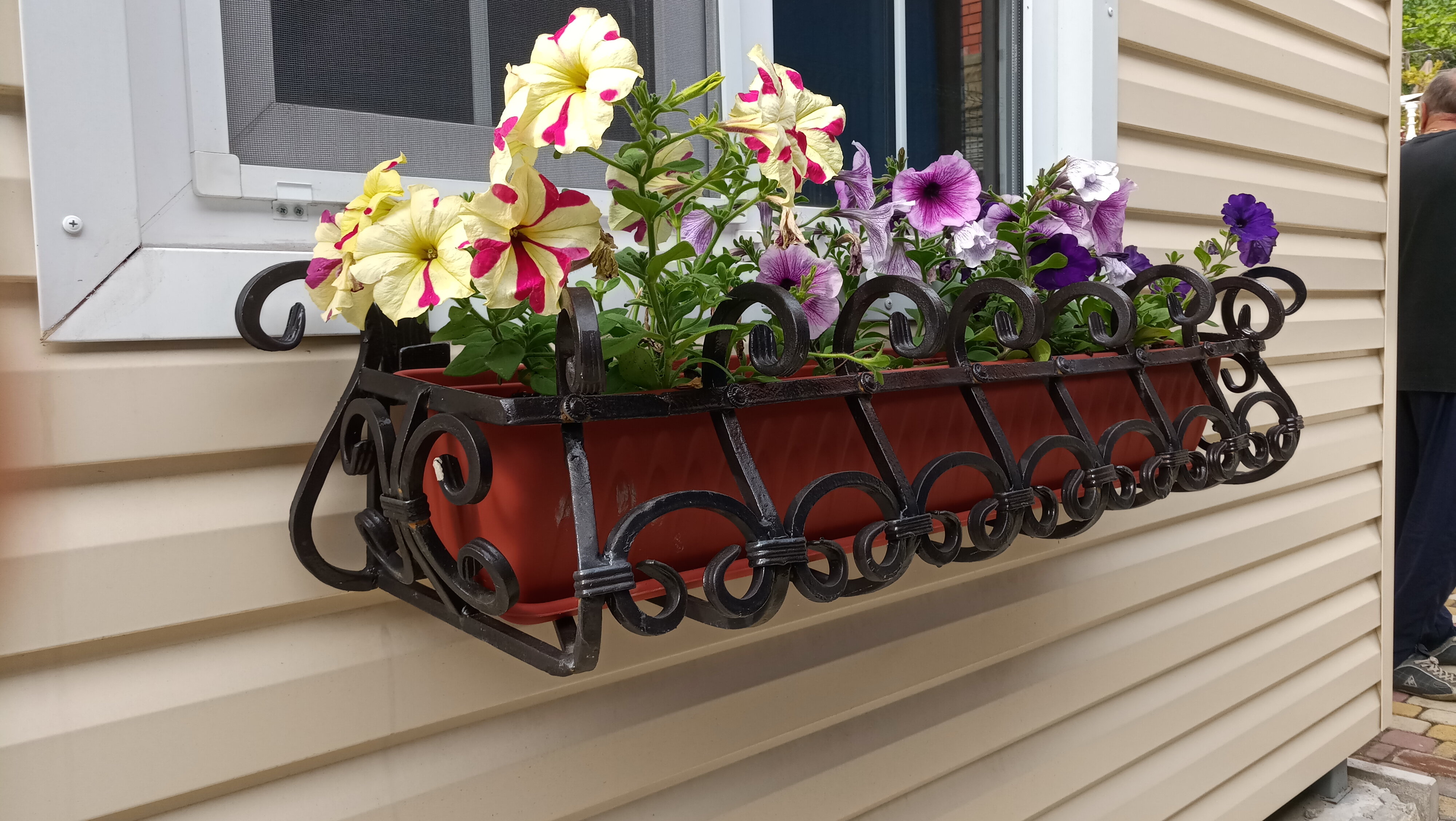 Фото Французский дом