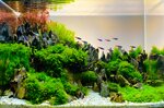 Aqua Gallery (Madinat Dubai Al Melaheyah, Wasl Port Views, Wasl Port Views Building 2), pet shop